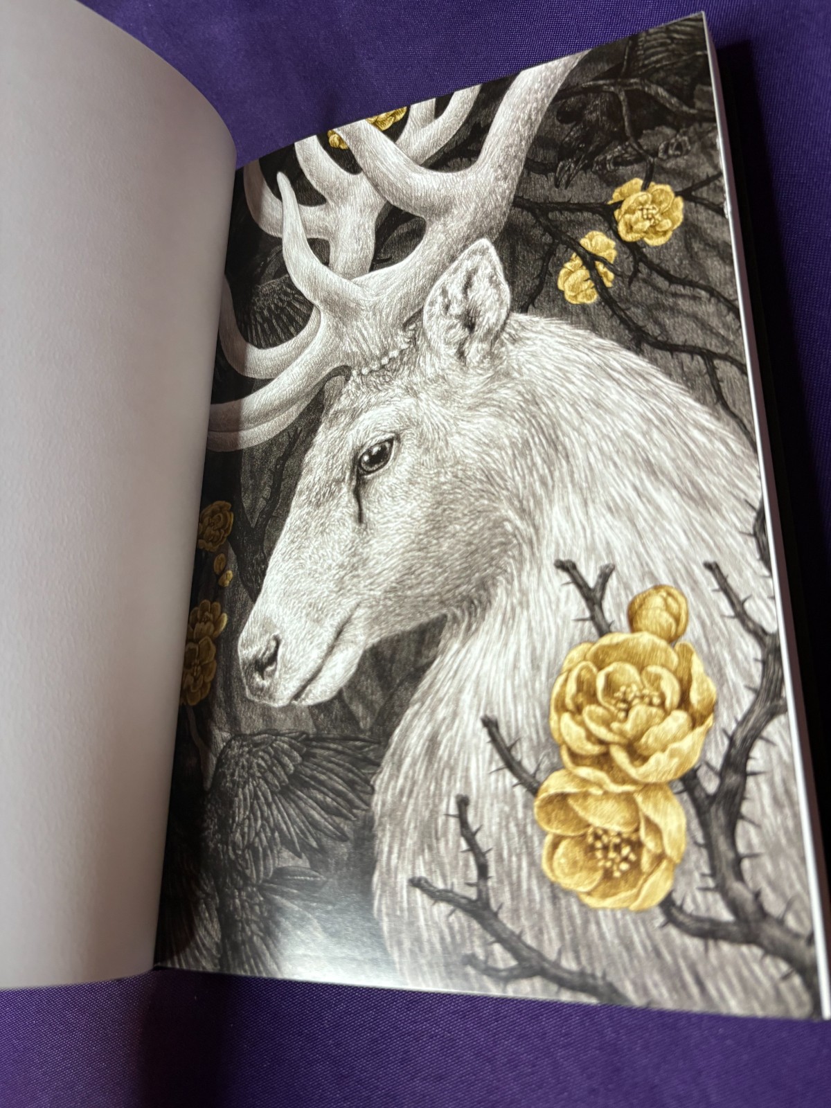 Shadow and Bone: the Collector’s Edition by Leigh Bardugo (2020, Hardcover)