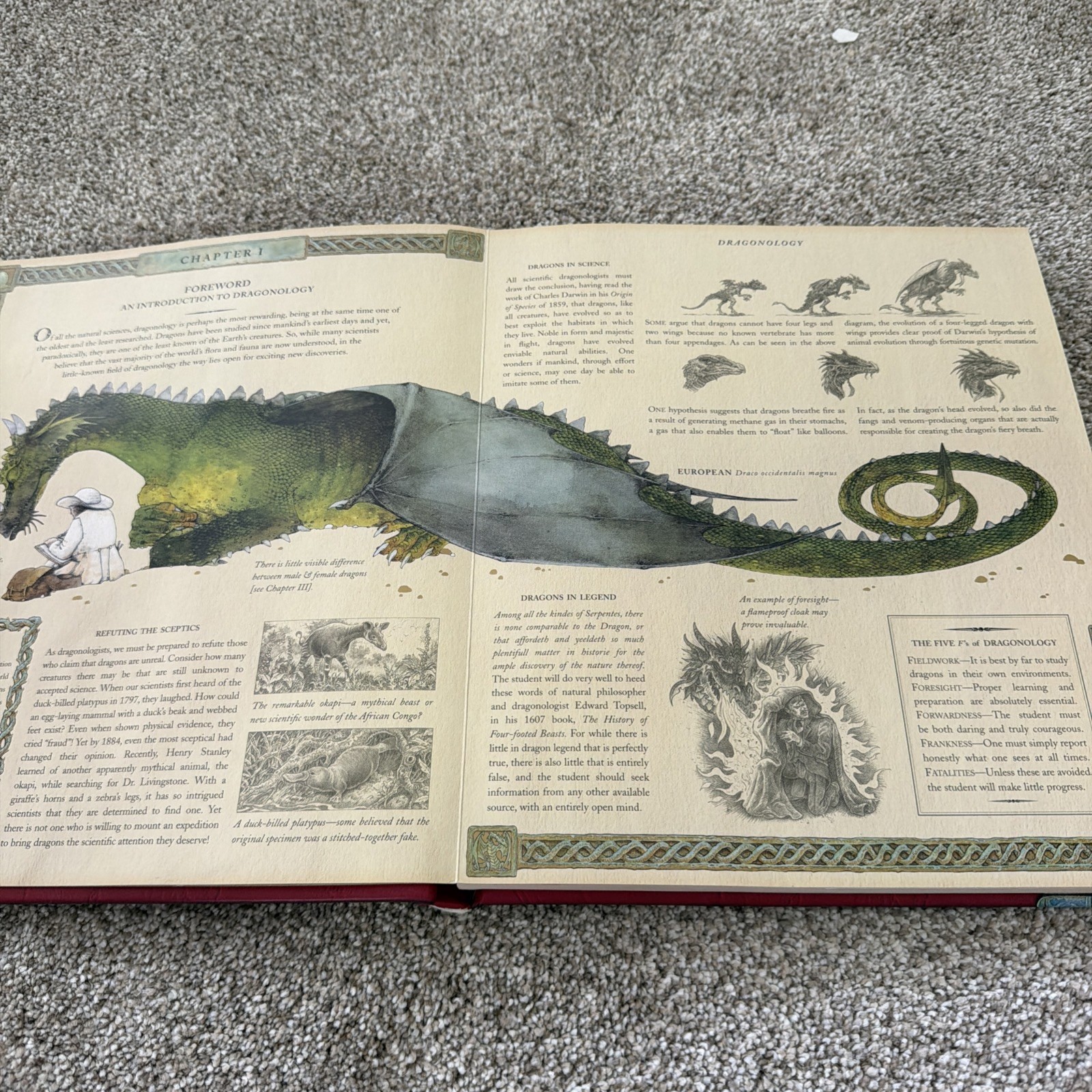 Ologies Ser.: Dragonology : The Complete Book of Dragons by Ernest Drake (2003,
