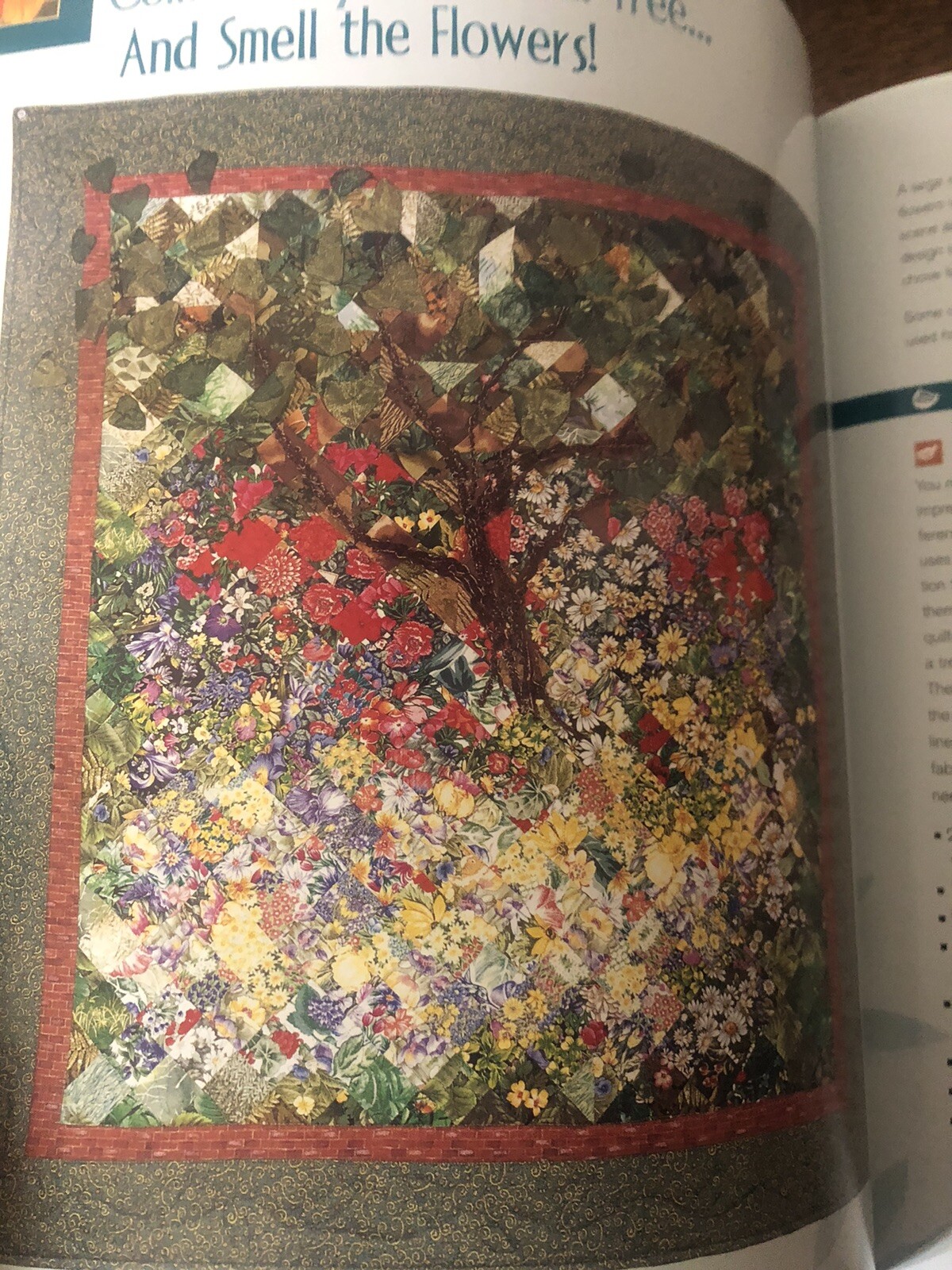 Along the Garden Path : Quilters and Their Gardens by Valori & Jean Wells 2001