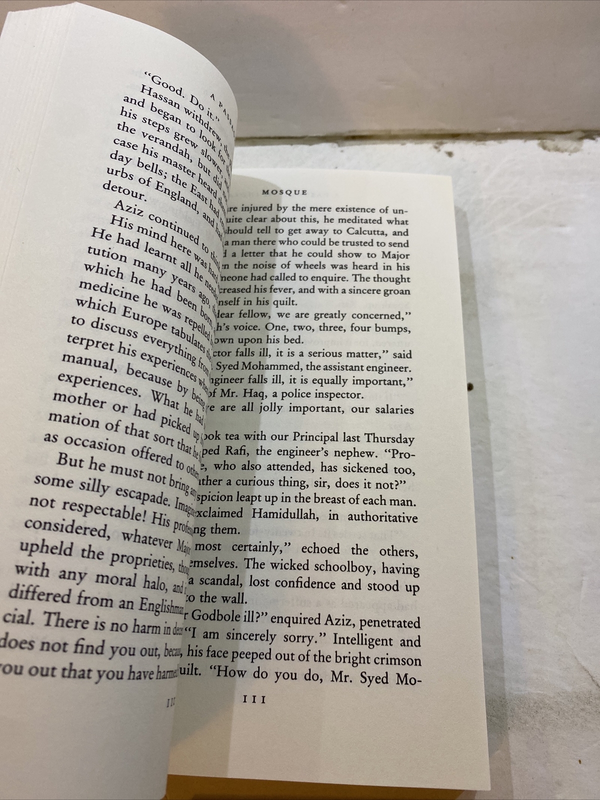 The Passage To India – E.M. Forster (Paperback, 1984)