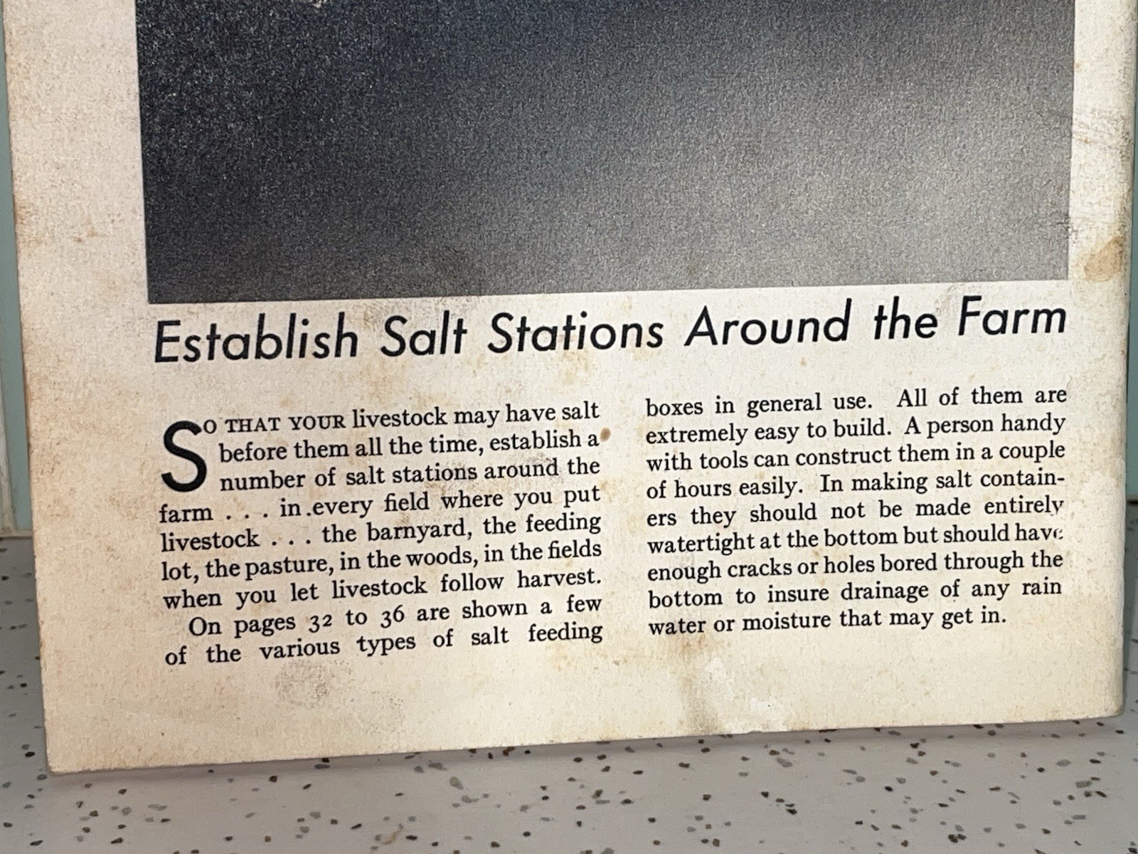 Vintage Free Choice Salt For More Profitable Livestock Feeding Booklet 39 Pages