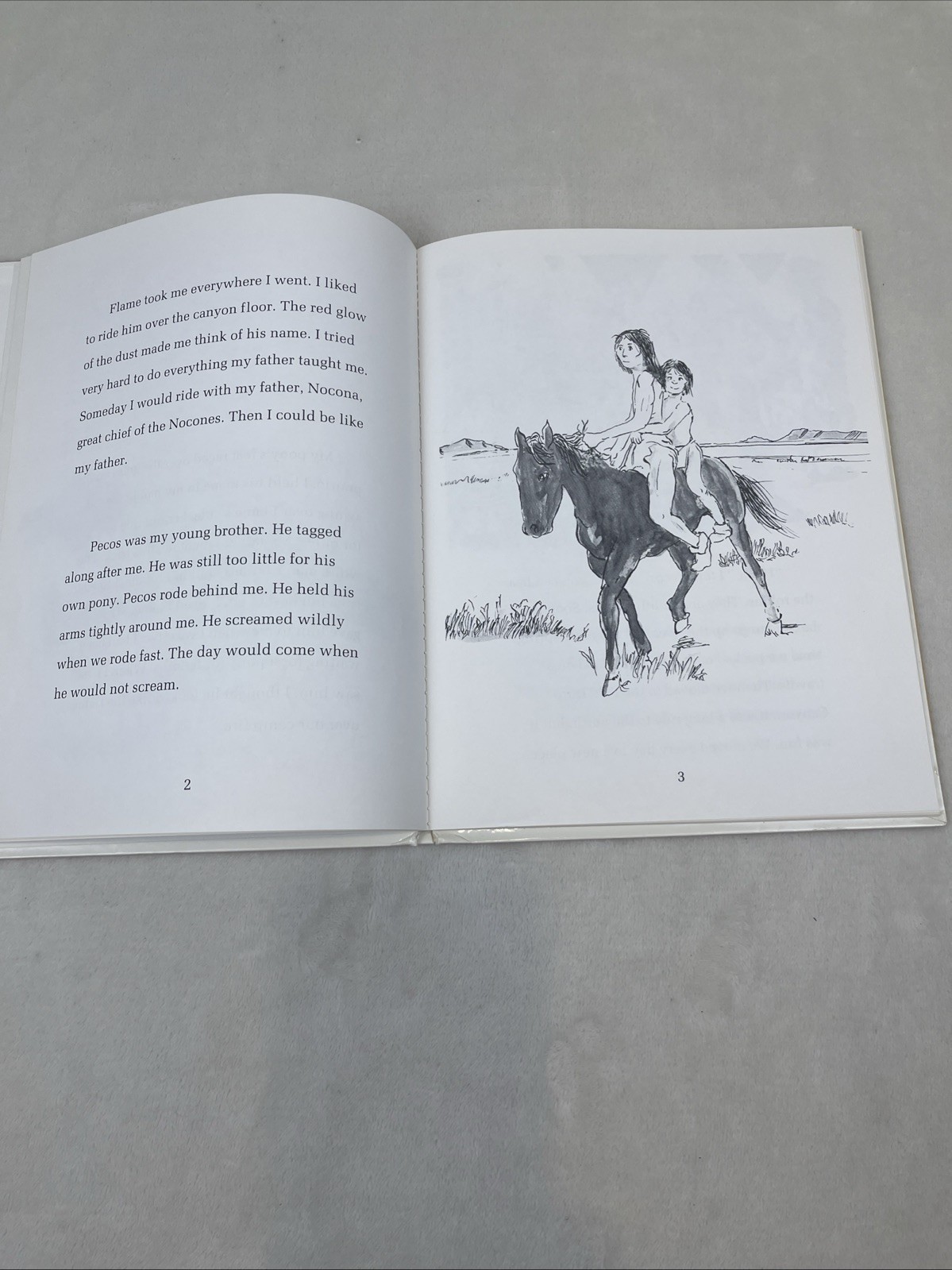 Signed 1987 First Edition Great Chief Of The Comanches Quanah Parker Hard Cover