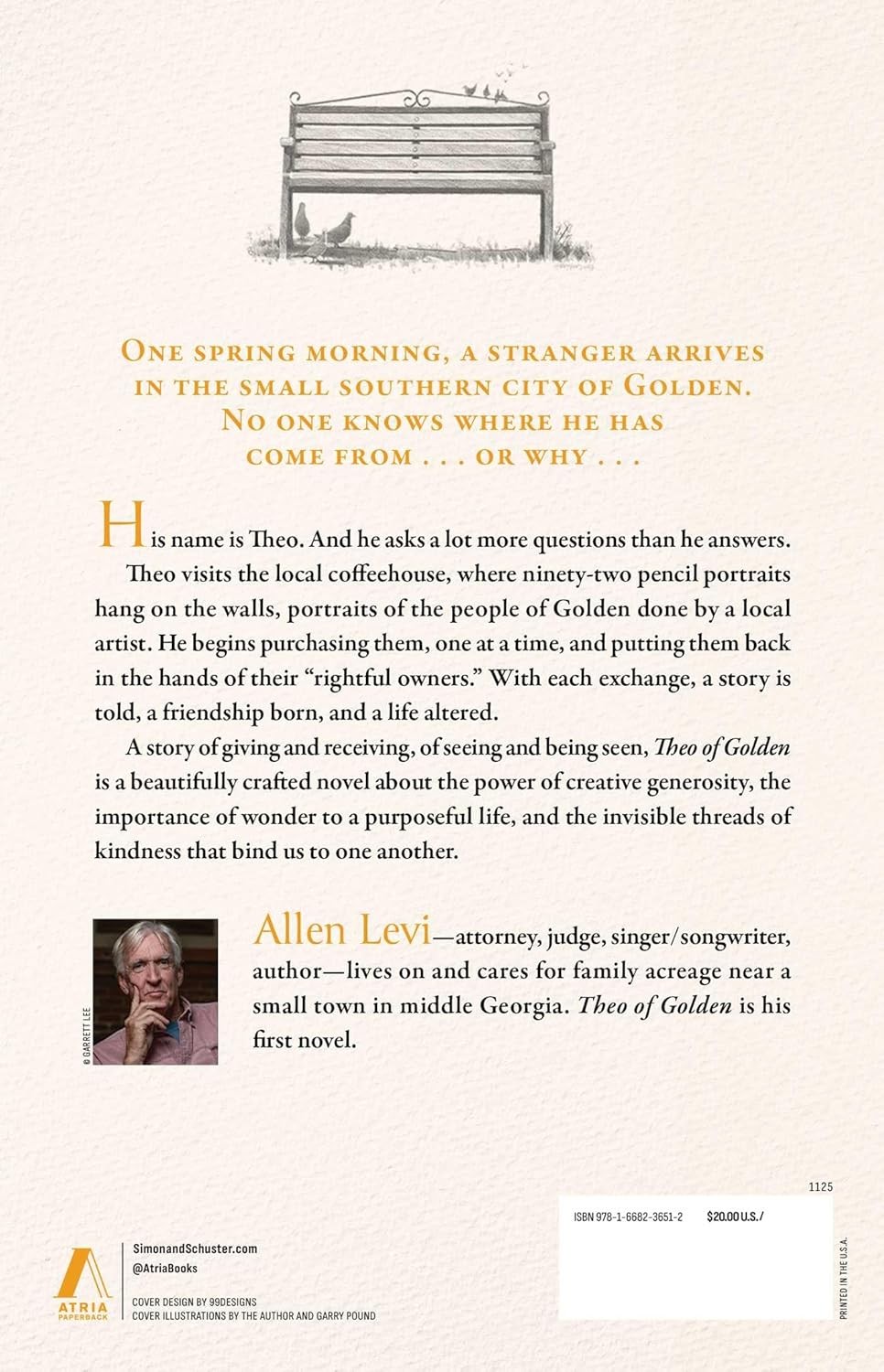Theo of Golden: A Novel by Allen Levi | NYT Bestseller | Paperback