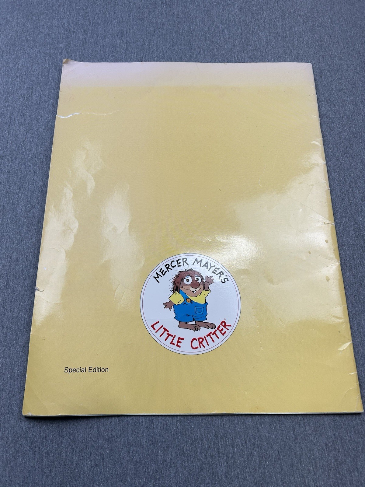 Lot Of 10 Oversized Classroom Teacher Big Books Easel Lionni Heller Carle