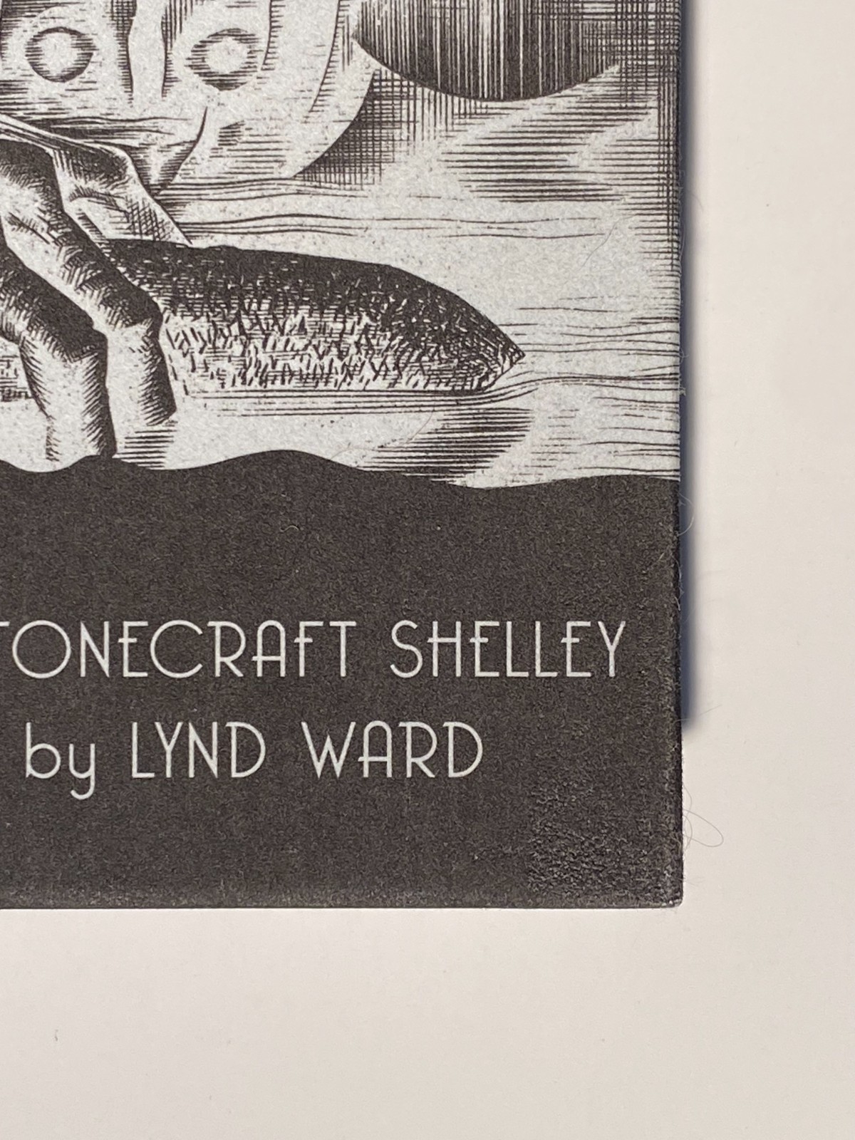 FRANKENSTEIN GRAPHIC NOVEL MARY SHELLY WITH LYND WARD ILLUSTRATIONS 2010 9.2 js