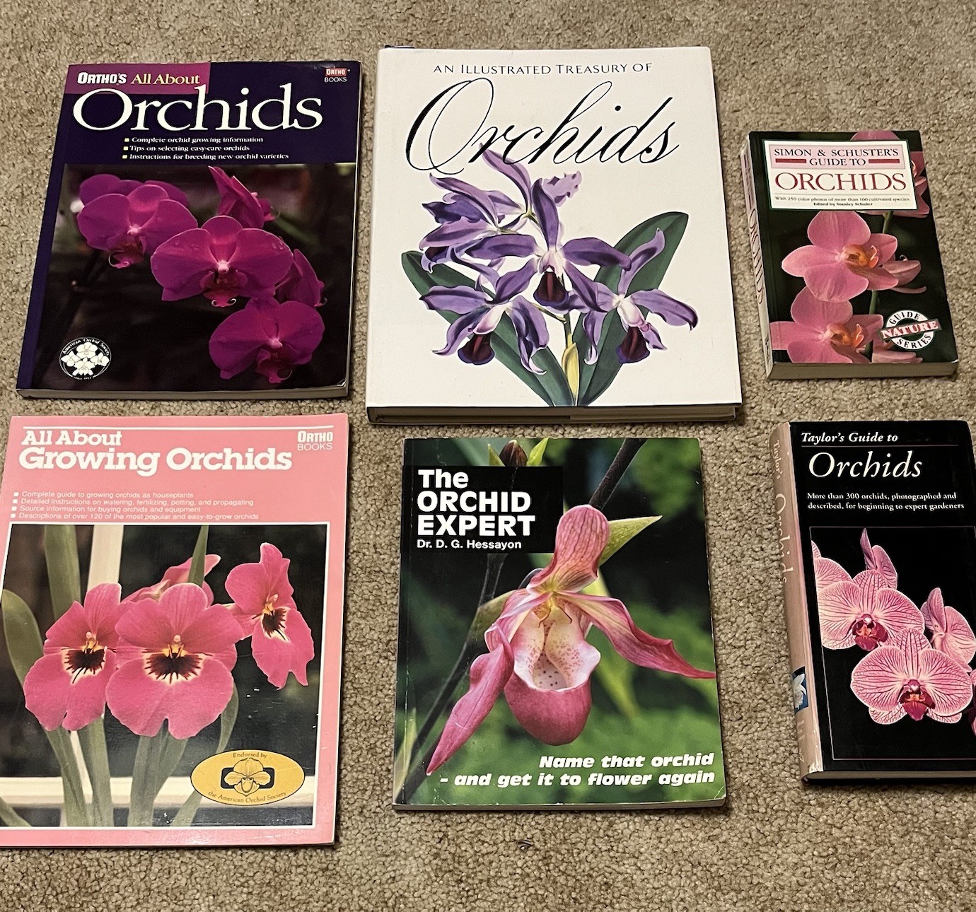 All About Growing ORCHID Flowers Garden Expert Guide Book Illustrated Lot x6 VG