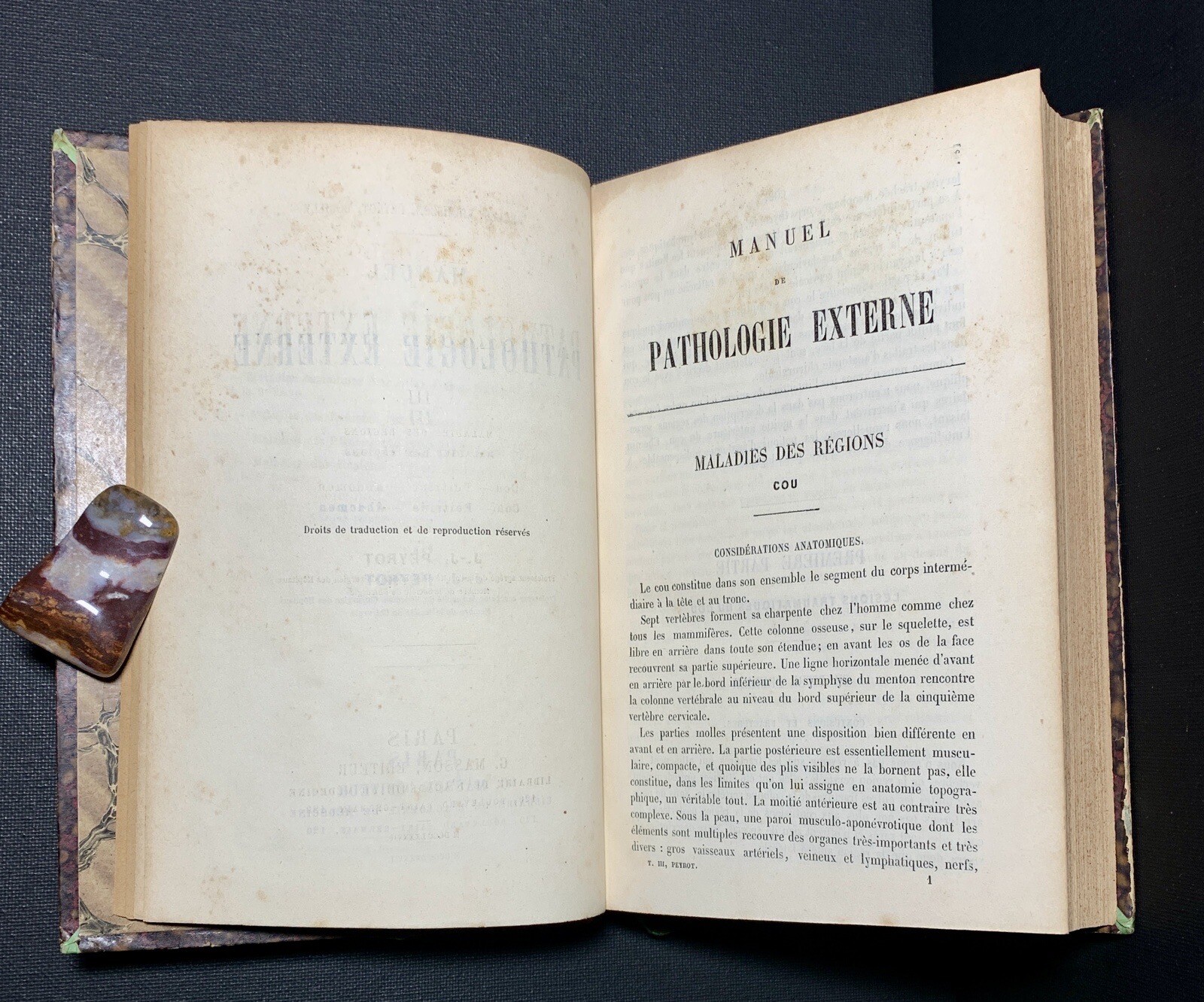 ANTIQUE 19th Century Medical French Book PATHOLOGY diseases DIAGNOSIS Medicine
