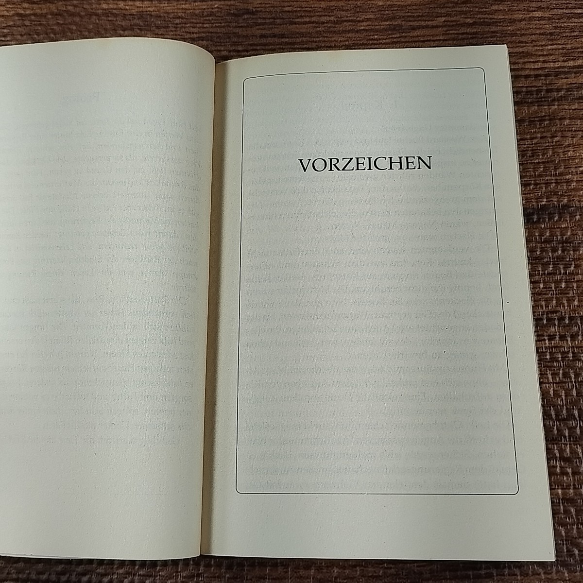 Die Brut ~ James Herbert 1989 Germany Version Paperback Book