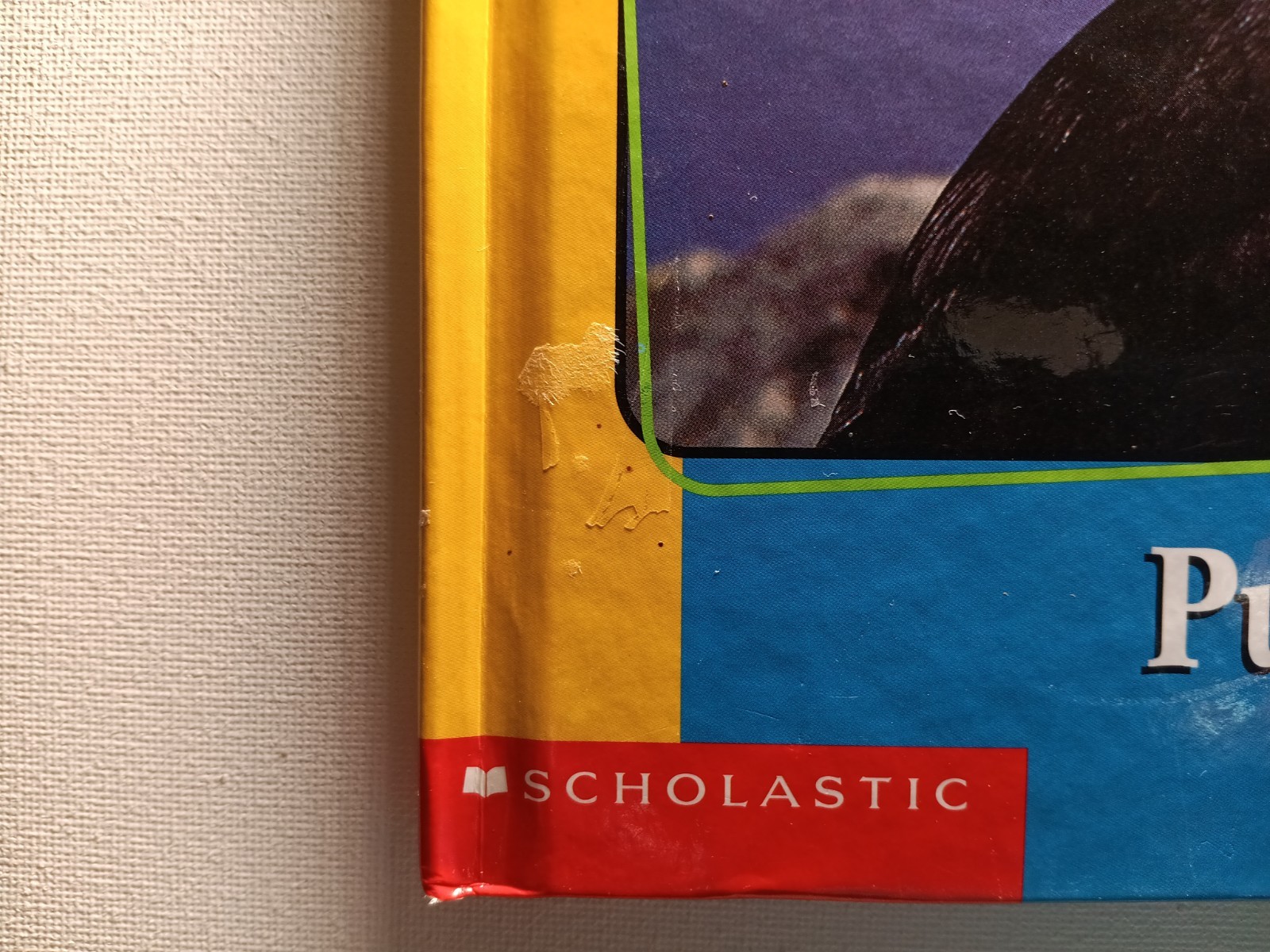 Scholastic Getting to know Nature’s children Animal Books Lot of 6 (hard cover)