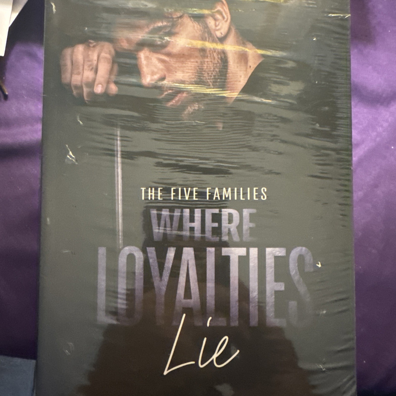 The Five Families Series Dark Mafia Spicy Romance Jill Ramsower #1-6 + Loyalty’s