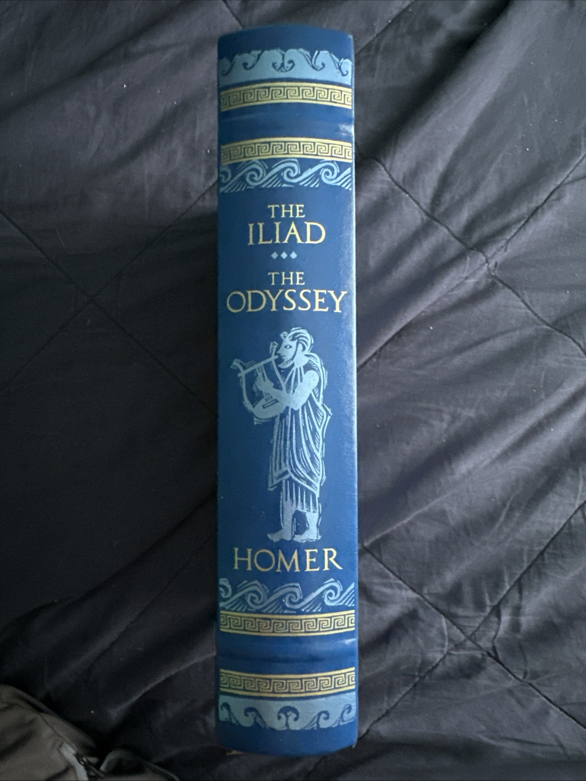 The Iliad and the Odyssey by Homer – Barnes and Noble Bonded Leather 2008 HC