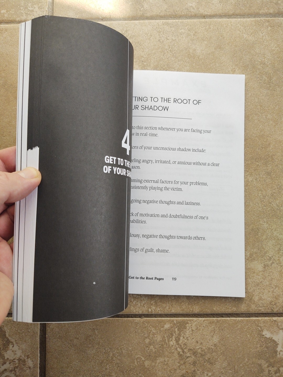 THE SHADOW WORK JOURNAL Guide Integrate & Transcend Your Shadows Self Help Book