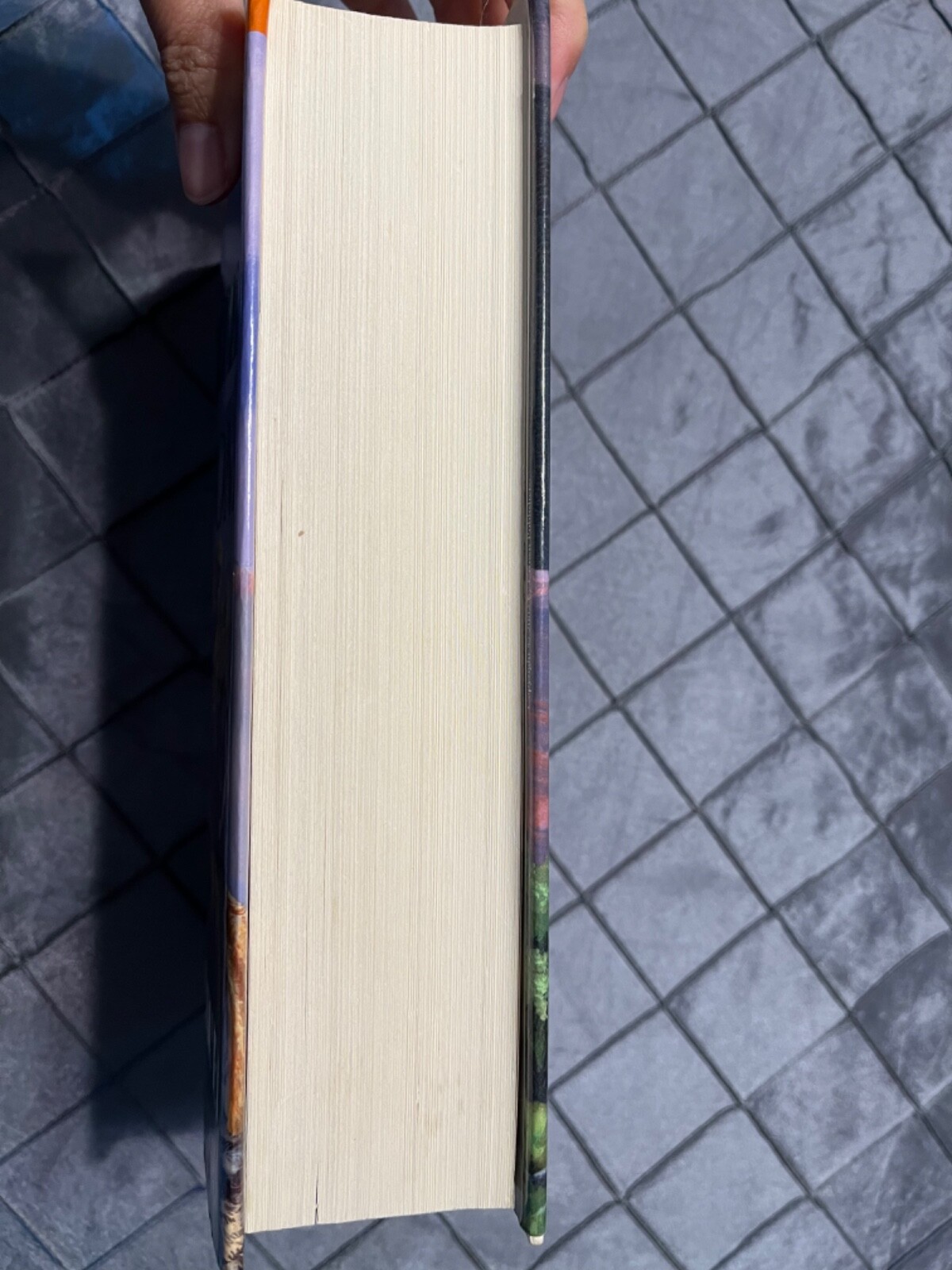 Earth’s Children Ser.: The Shelters of Stone by Jean M. Auel HC 2002 1st Edition