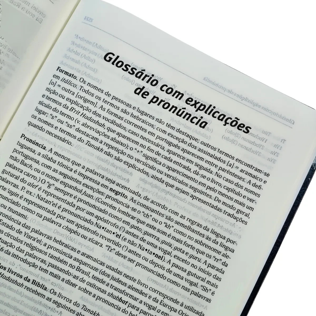 Biblia Judaica: Completa – Capa: Dura (Em Portugues do Brasil)