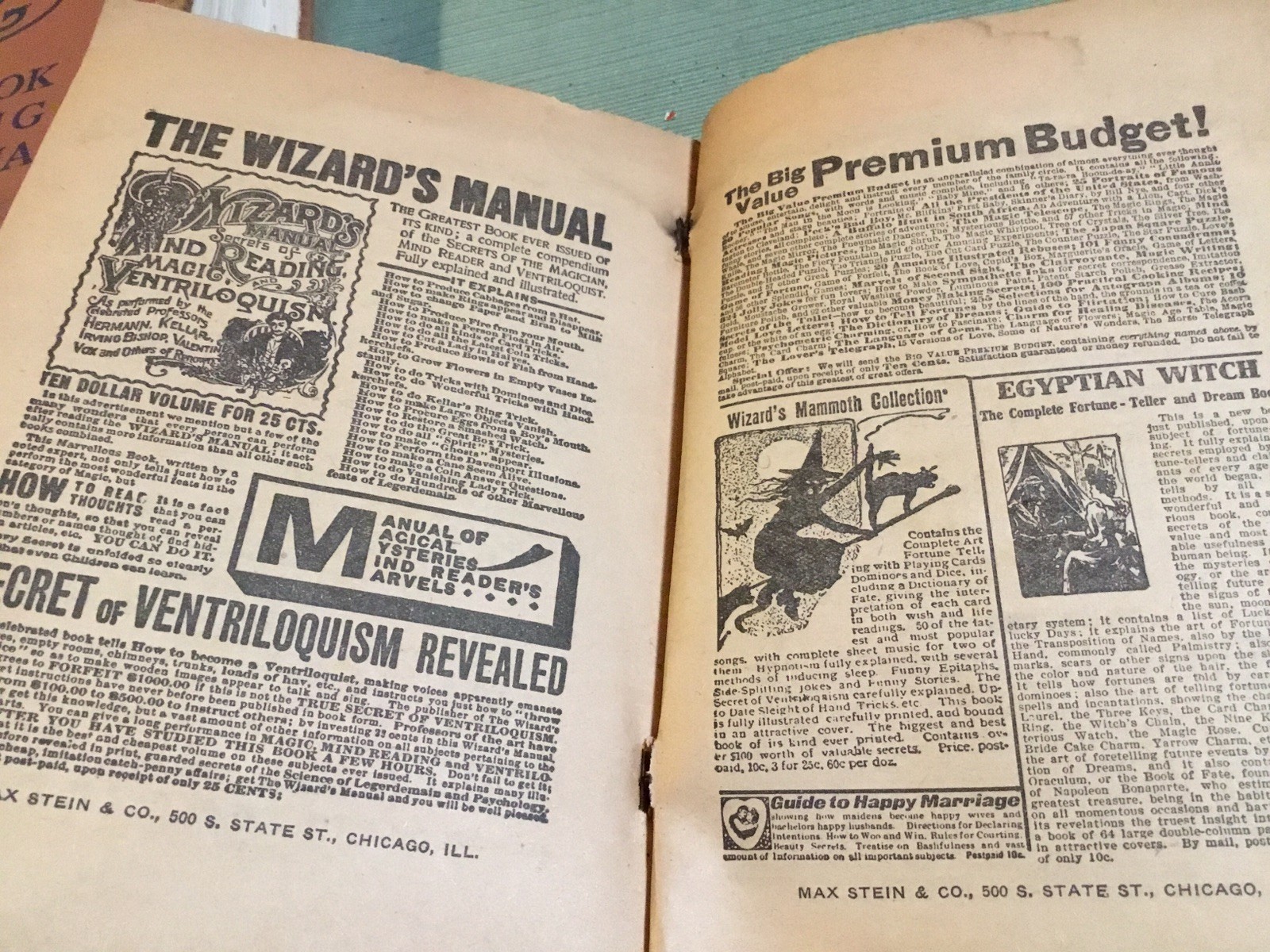Complete Instructor Boxing Swimming Gymnastics Prize Fighting Sports Vintage