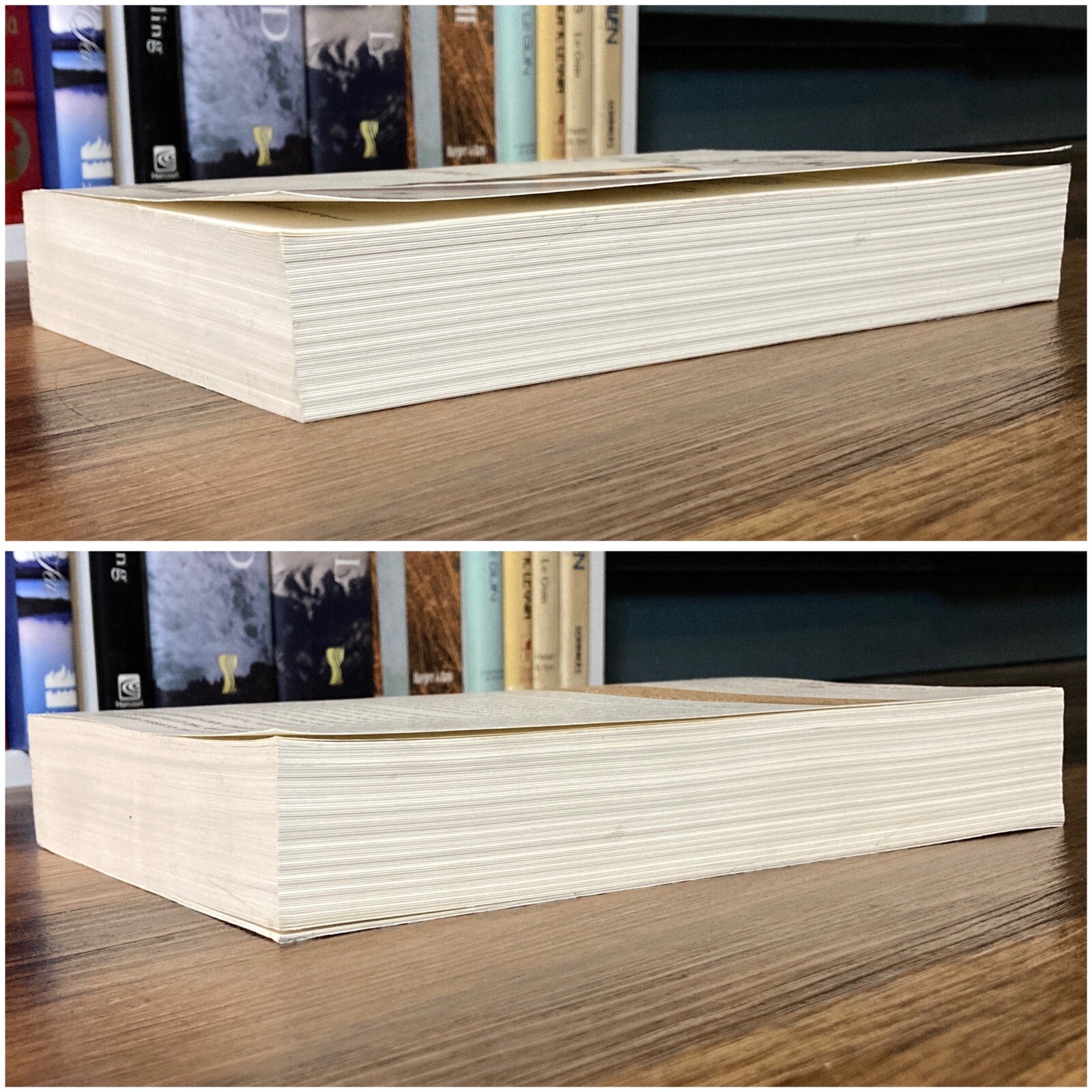 *ARC / Uncorrected Proof* The Goldfinch – Donna Tartt (Little Brown, 2013)