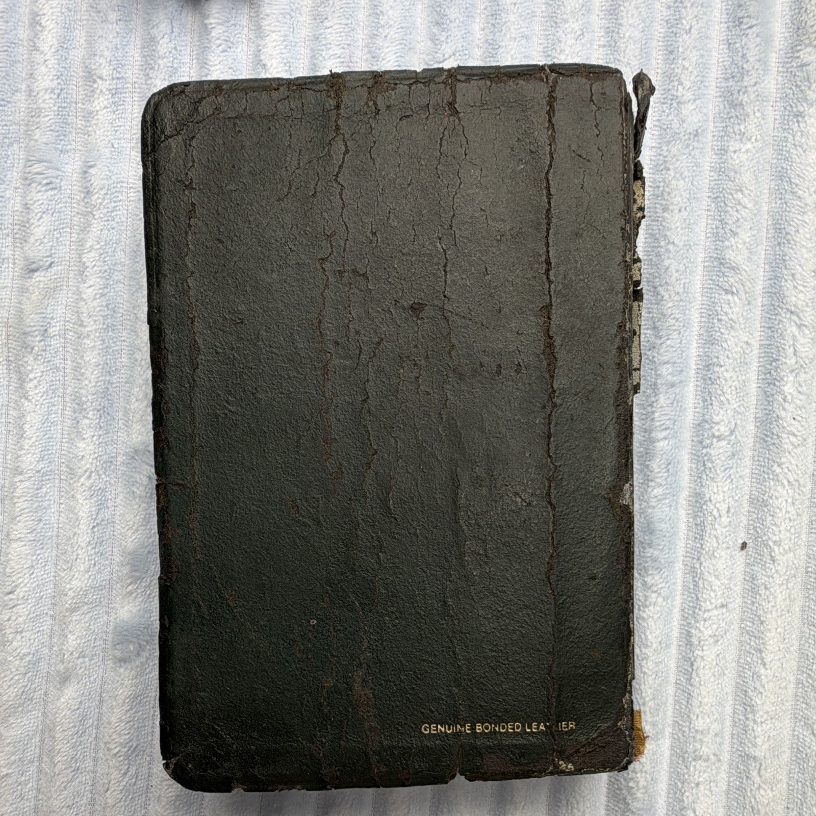 Holy Bible King James Version: Standard Size Leather Black