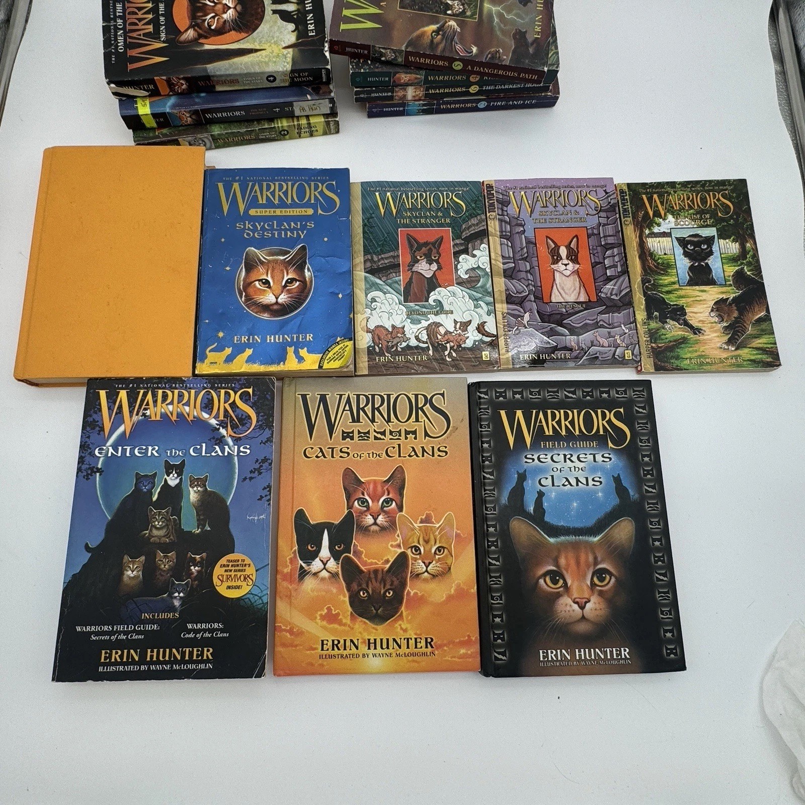 Warriors Erin Hunter Book Lot Of 17 Mixed Hardcover Paperback Super Editions