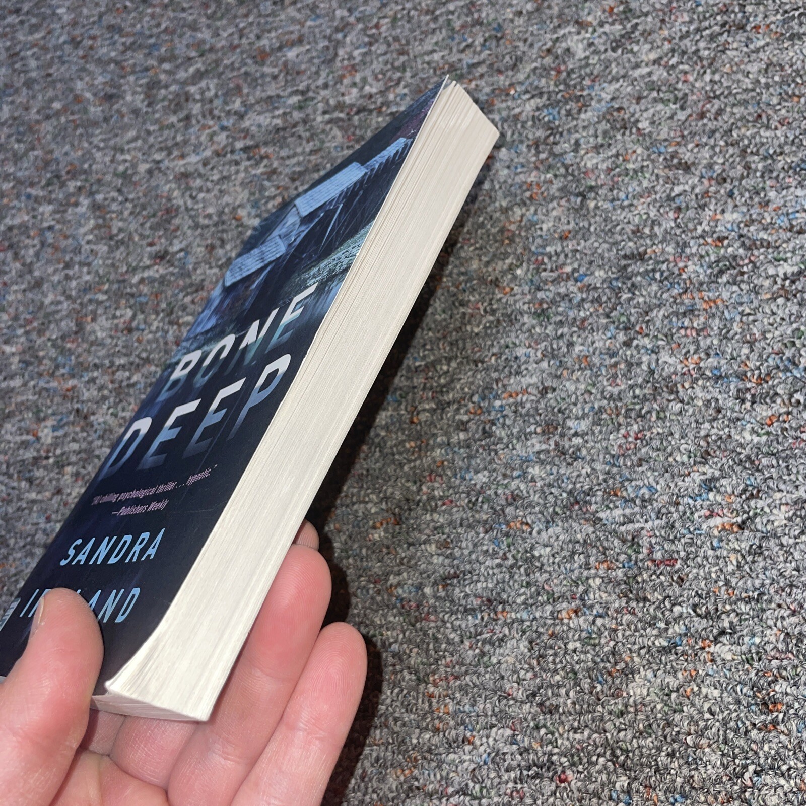 Bone Deep by Sandra Ireland (2019, Trade Paperback)