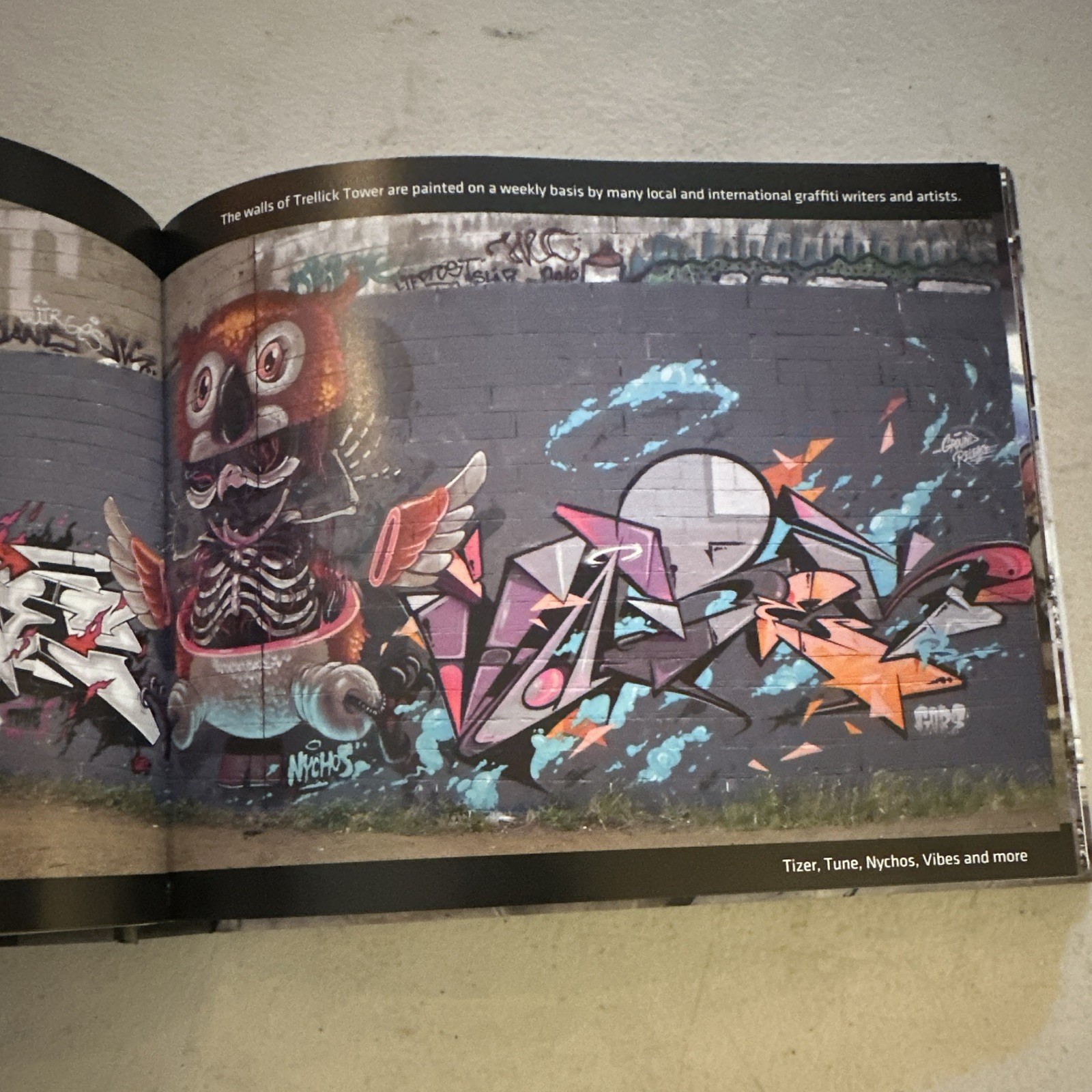 LDNGRAFFITI London Graffiti and Street Art Hardcover Joe Epstein Ebury Press