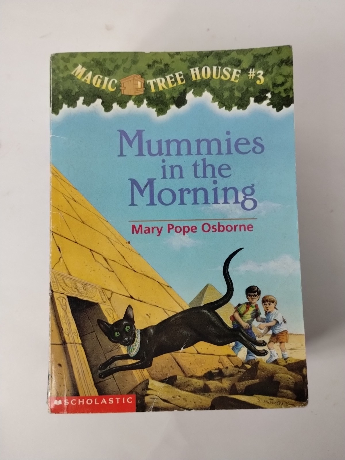 Miscellaneous Lot Of 14 Magic Tree House Books Mary Pope Osborne PB