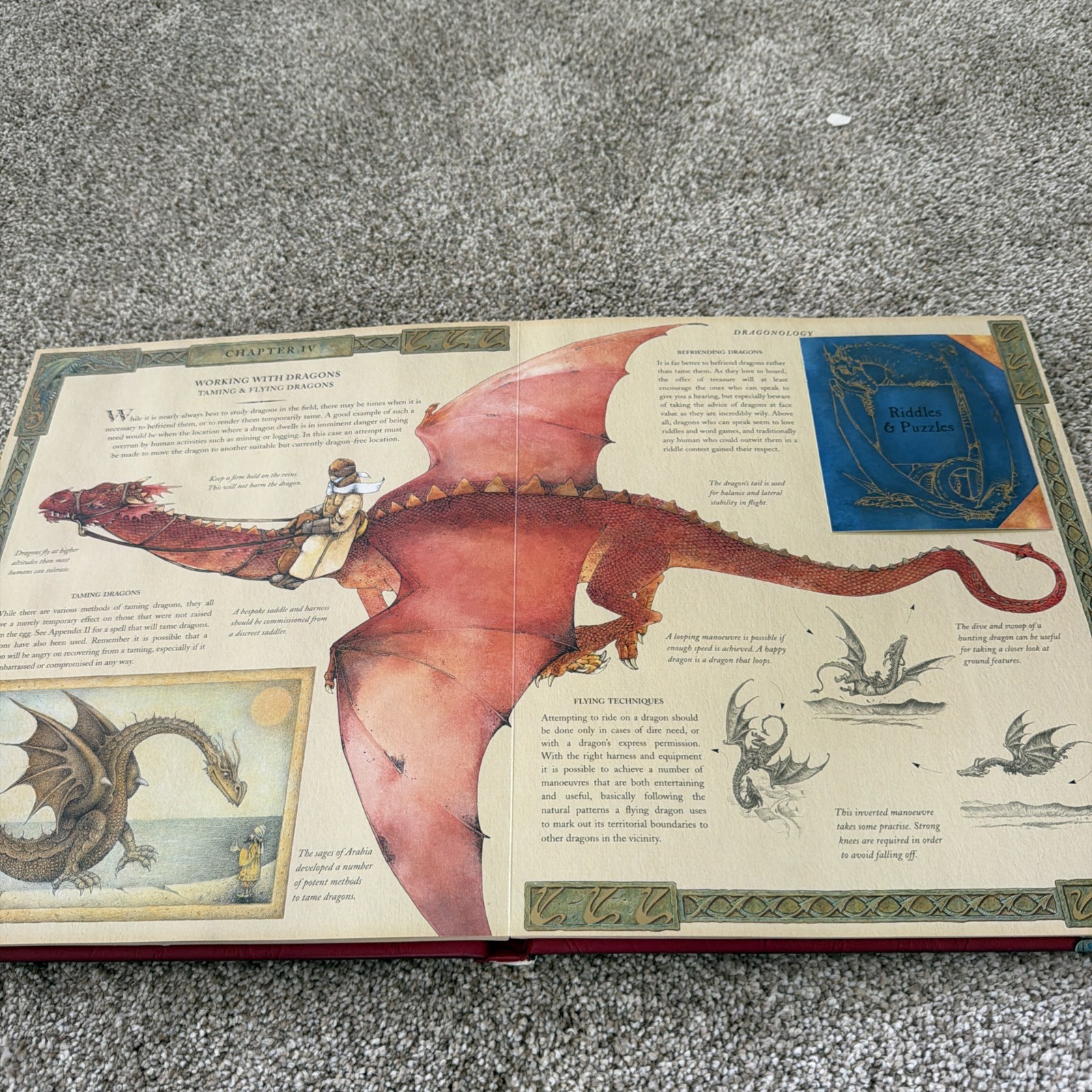 Ologies Ser.: Dragonology : The Complete Book of Dragons by Ernest Drake (2003,