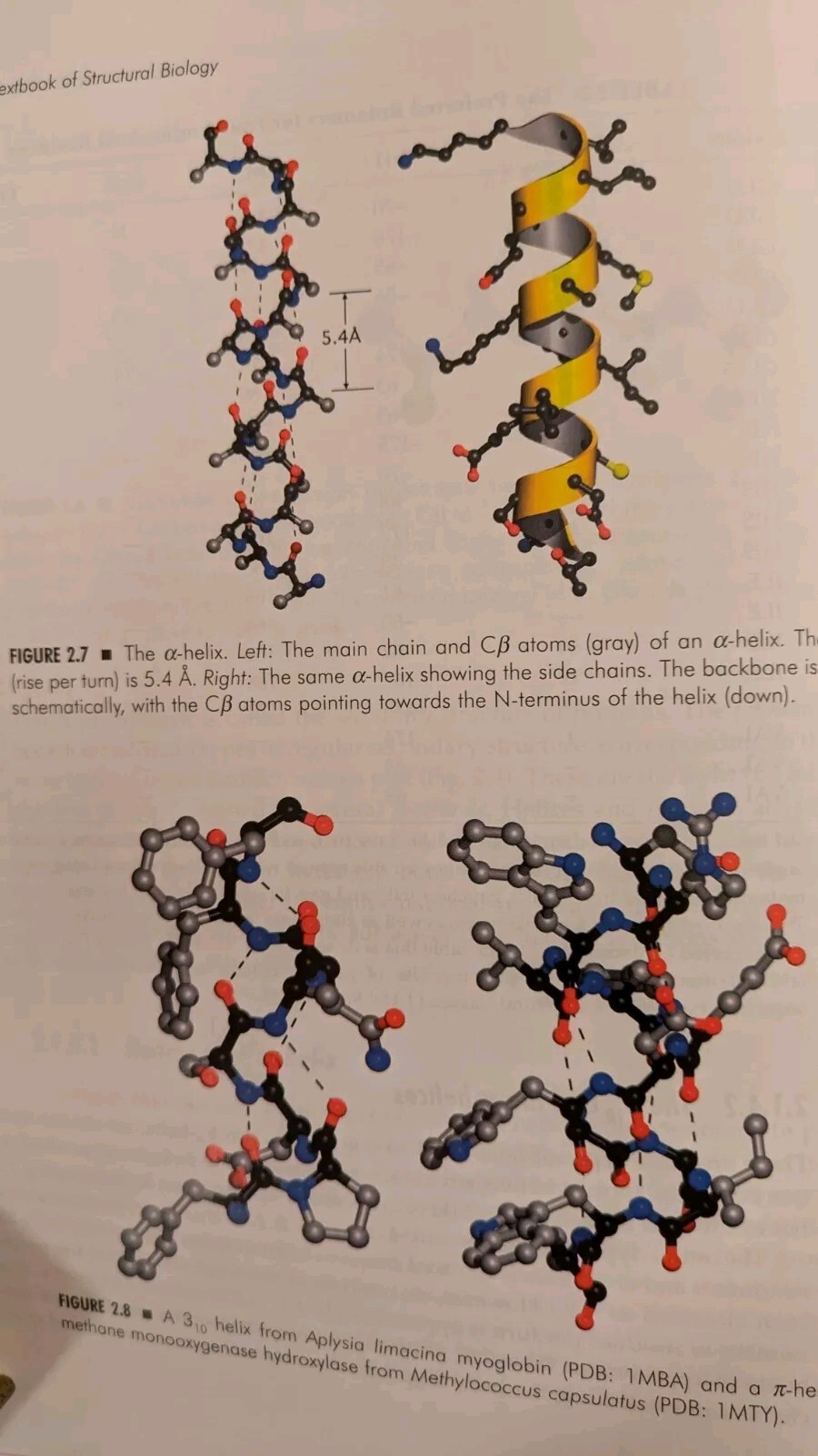Anders Liljas et al, TEXTBOOK OF STRUCTURAL BIOLOGY, 2010, PB, NO CD, 572 Pages