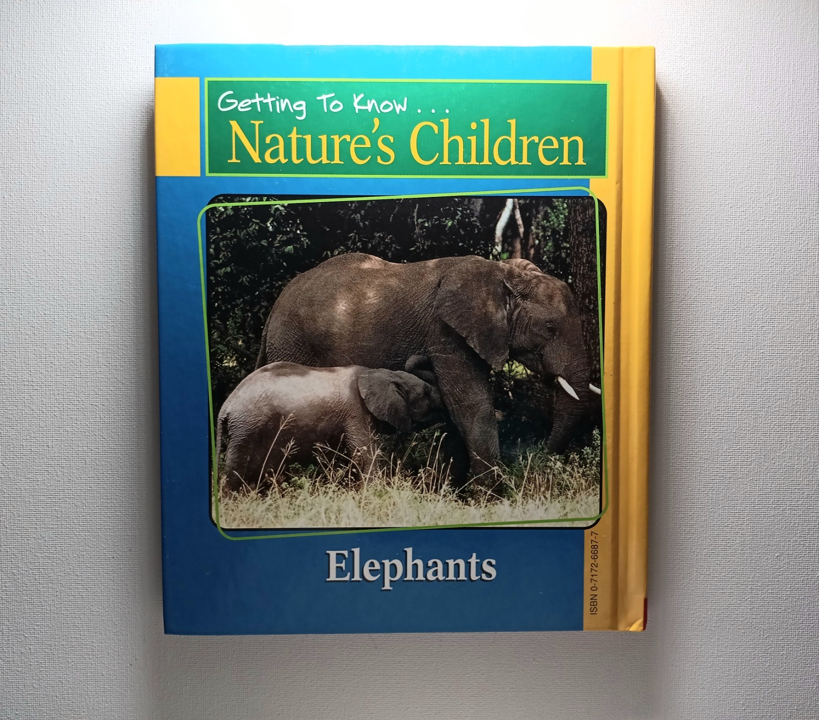 Scholastic Getting to know Nature’s children Animal Books Lot of 6 (hard cover)