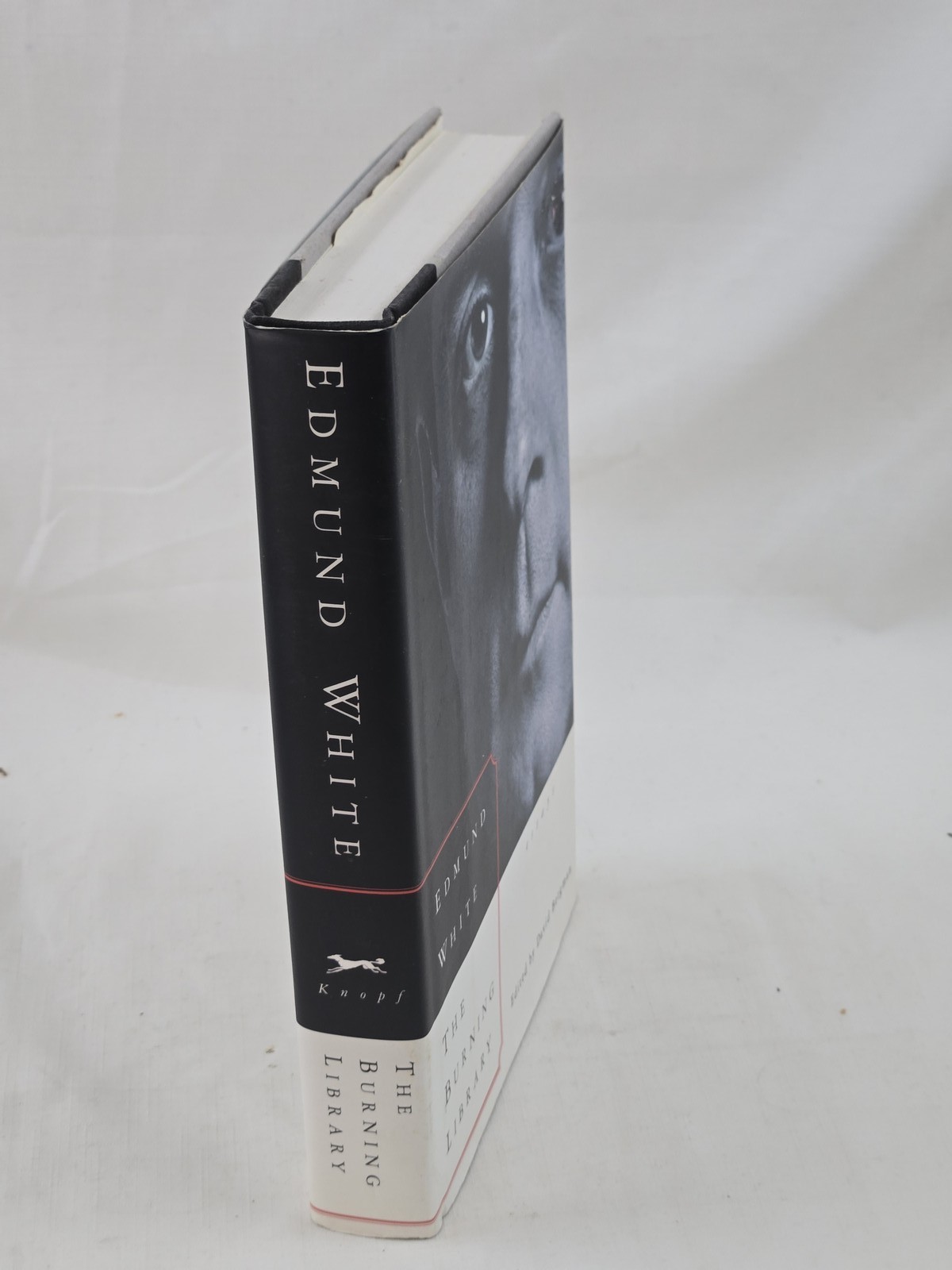 The Burning Library Essays Edmund White 1994 Alfred A Knopf Hardcover w/ Dust