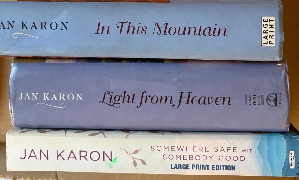 Large Print Ex-Library Books Choose Your Book Paperback Hardcover Easy Reading