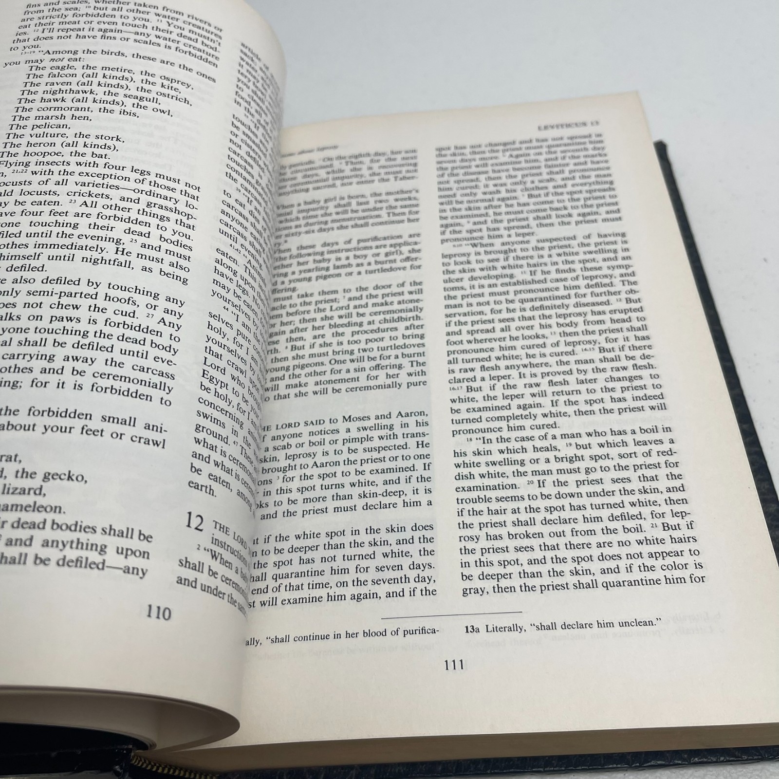 VTG – The Living Bible – Holman Illustrated Edition – 1973