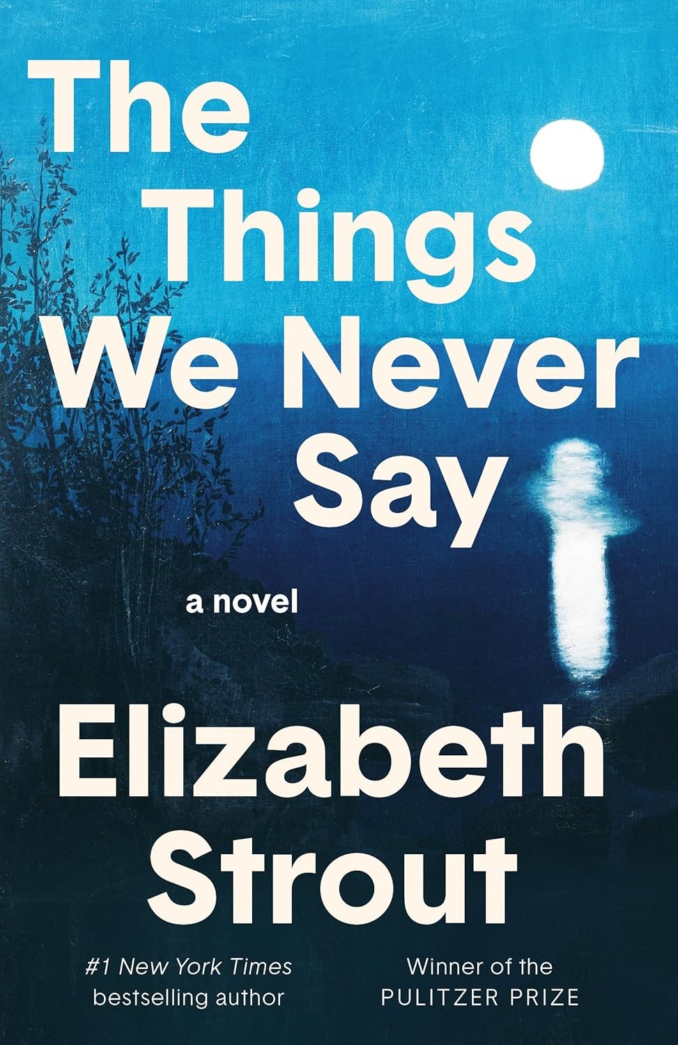 The Things We Never Say Hardcover by Strout, Elizabeth