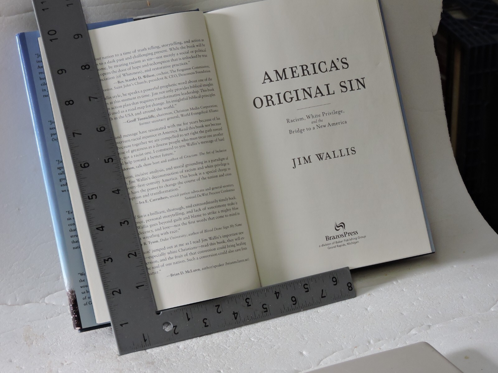 America’s Original Sin: Racism, White Privilege, and the Bridge to a New America