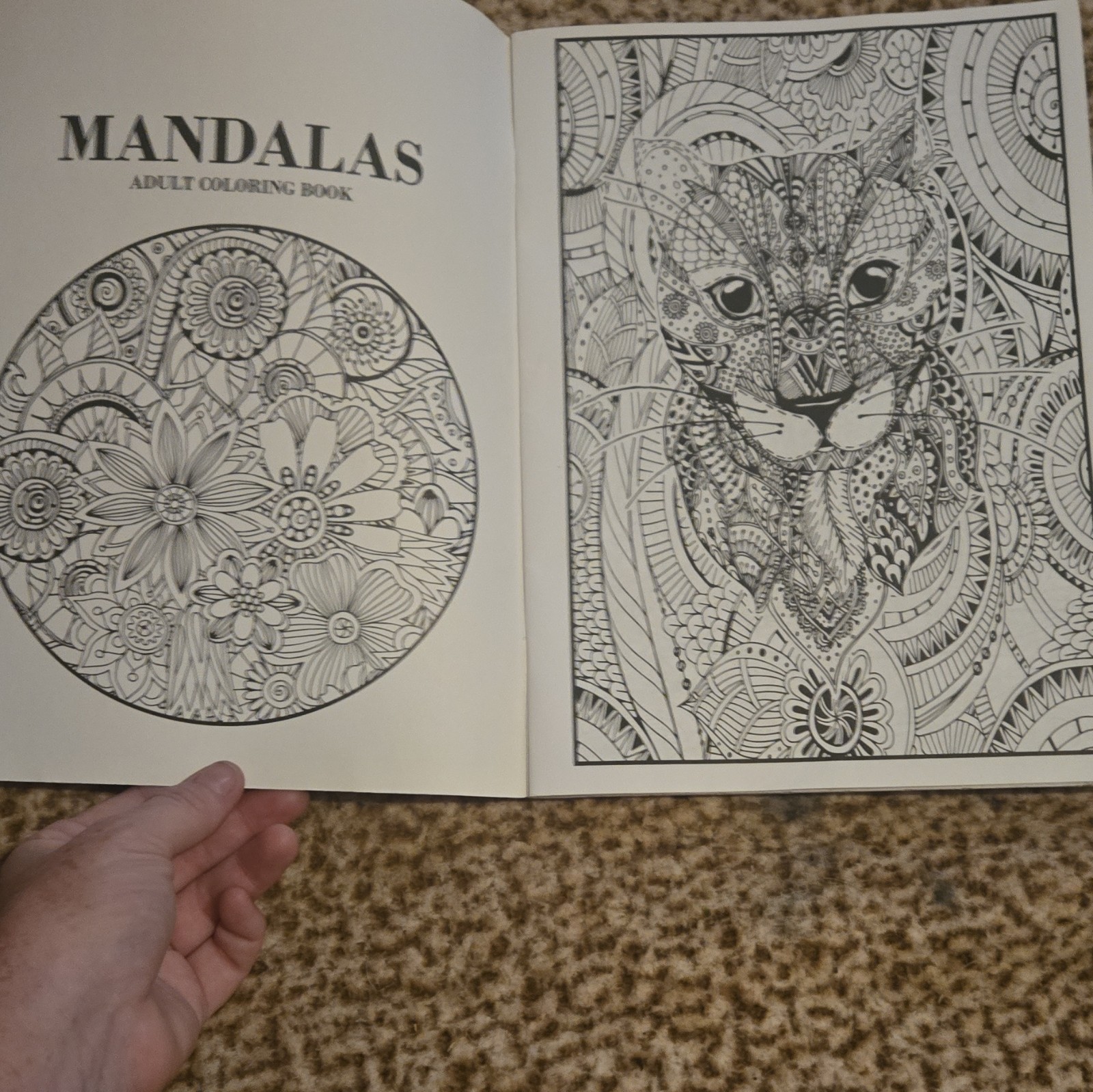 Mandalas Adult Coloring Book Paperback Illustrated Adults English