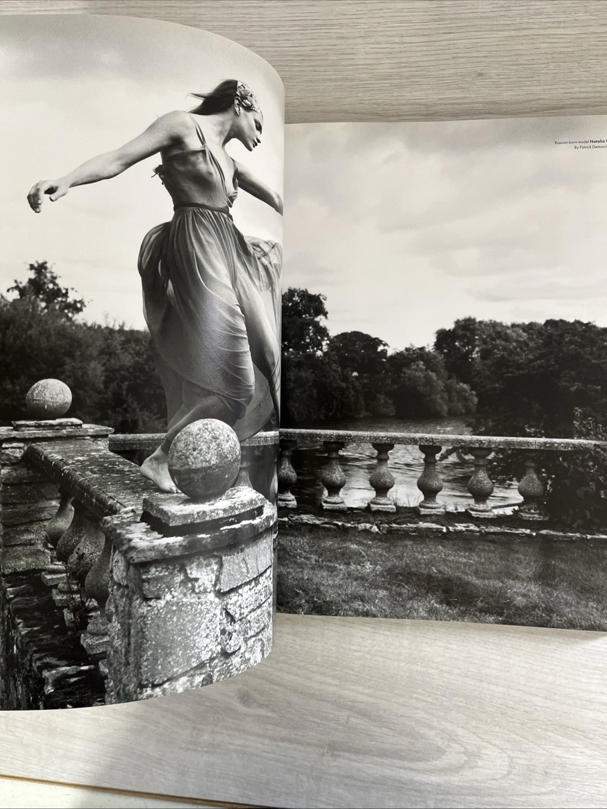 Vanity Fair: the Portraits : A Century of Iconic Images by Graydon Carter. Lib
