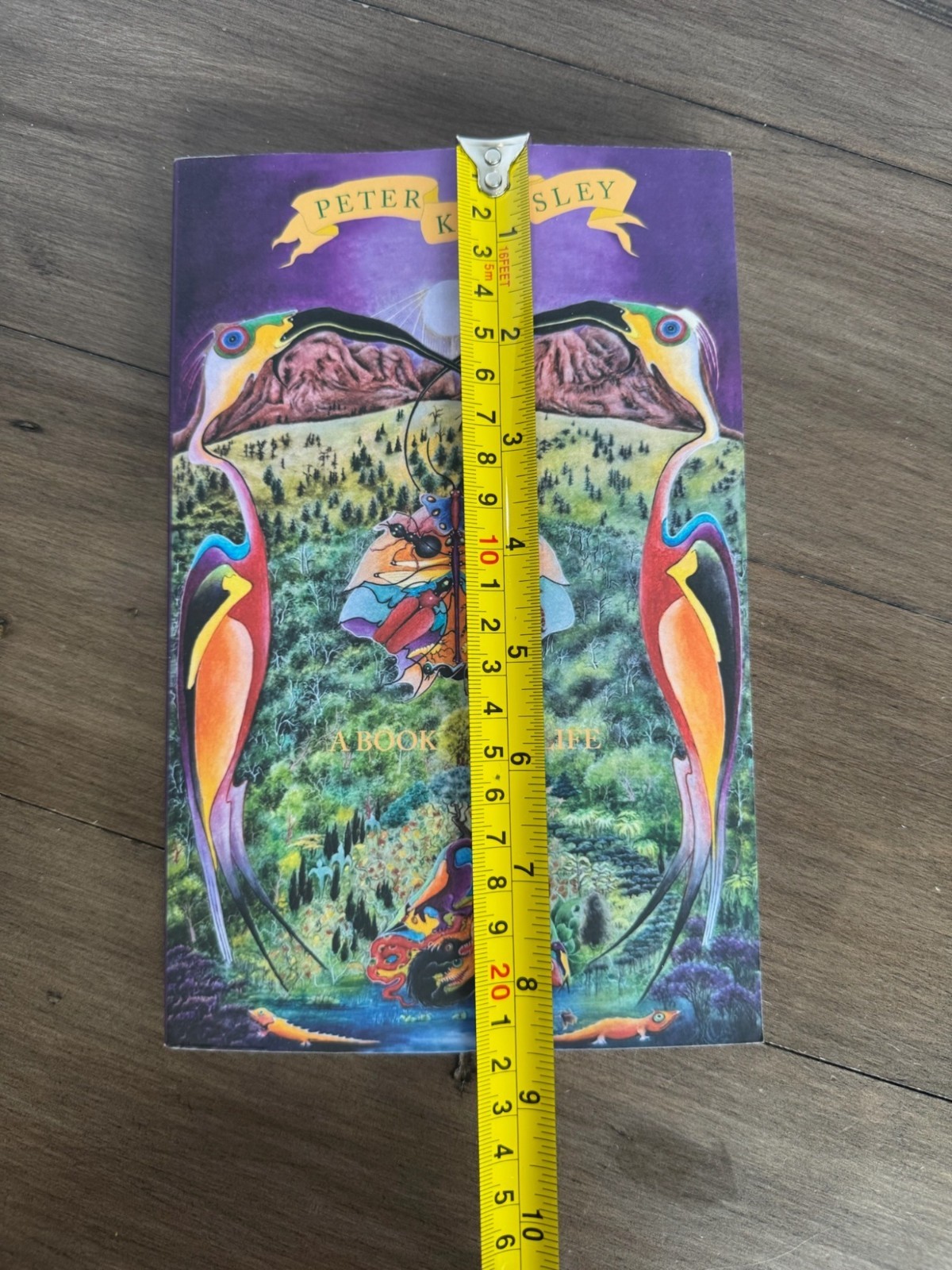 A Book Of Life By Peter Kingsley Paperback 2021 8.25×5.5 Inches
