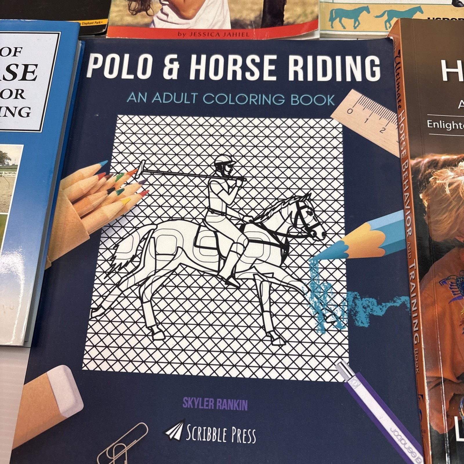 Lot of 12 Horse Books Equine Riding Training Polo Equestrian Care Health Color