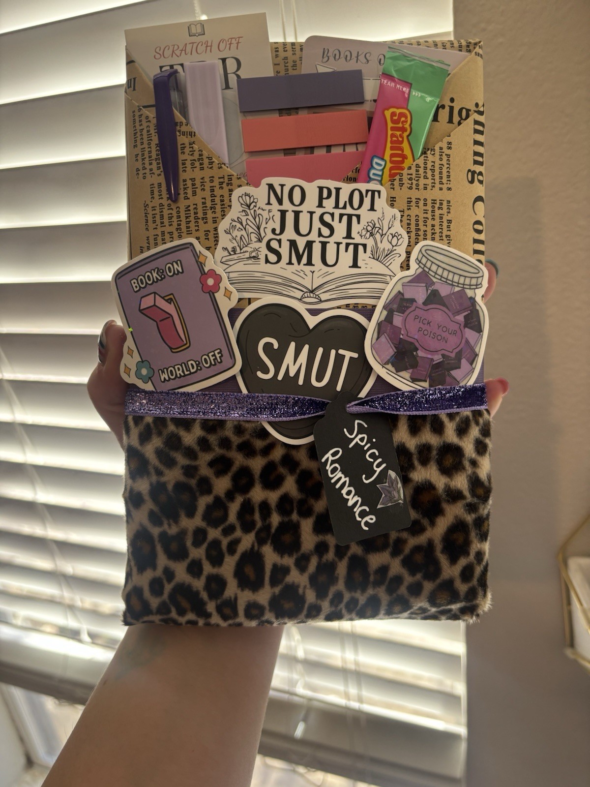 Blind Date With a Book • Mystery Gift • Book Lovers • New