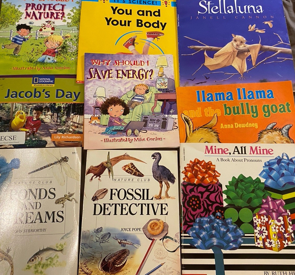 Children’s 150+ Book Lot PB Picture Books Leveled 0-4, Scholastic, Early Science