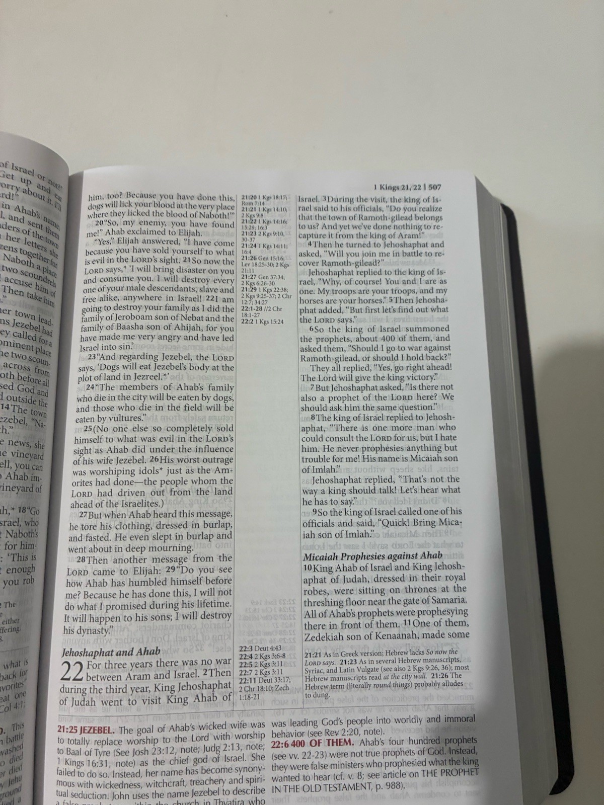 FIRE BIBLE New living Translation Chi Alpha Edition Leather Soft Cover