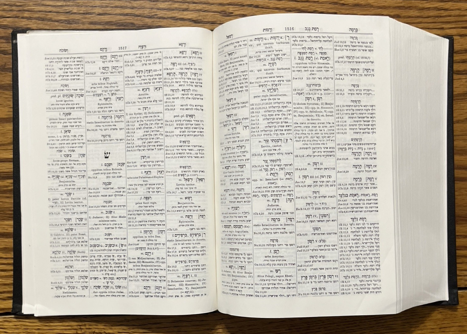 Veteris Testamenti Concordantiae Hebraicae Atque Chaldaicae Solomon Mandelkern