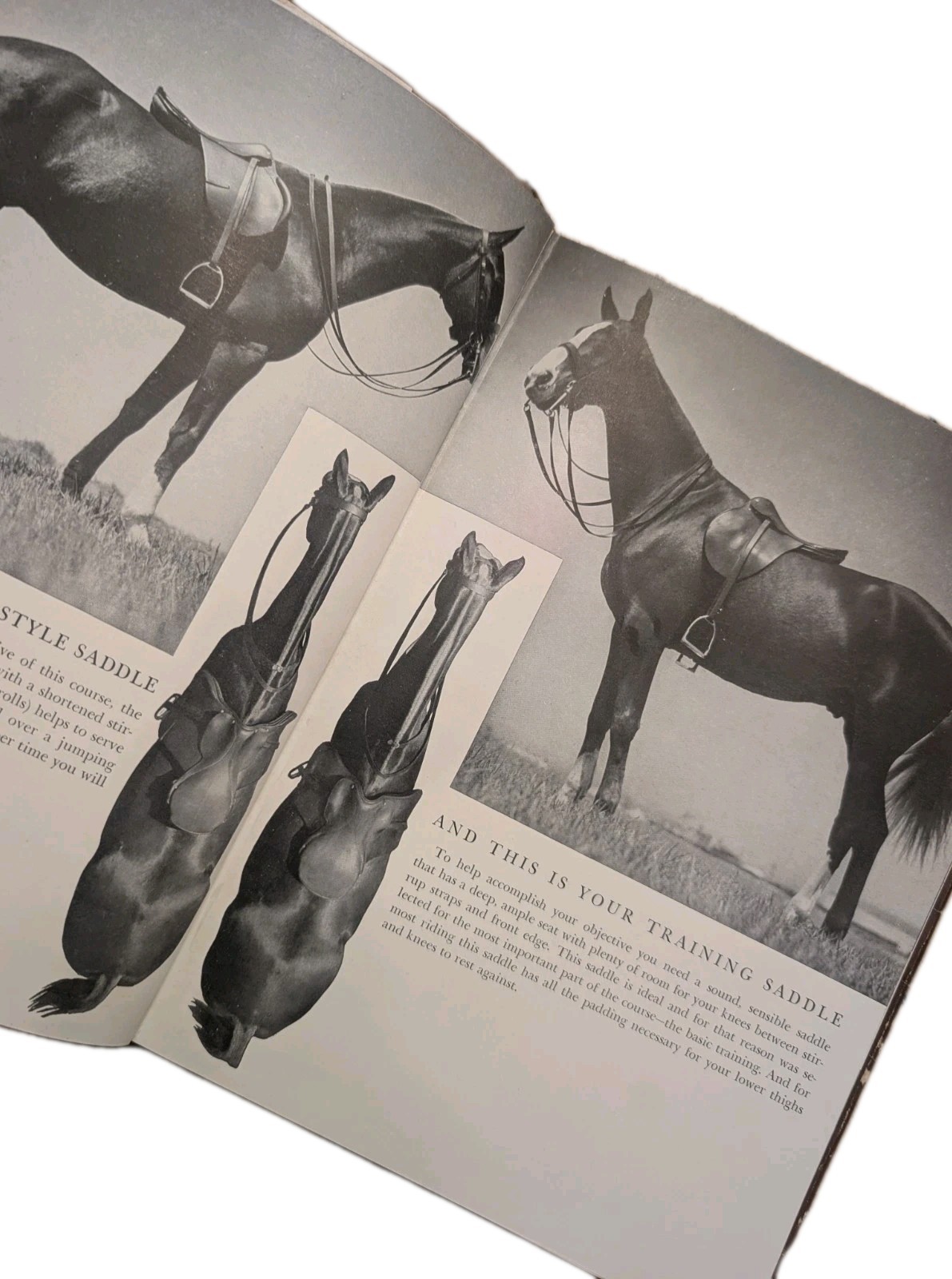 Riding The Balanced Seat BENJAMIN LEWIS 1939 Horses HC Vintgae Equestrian Book