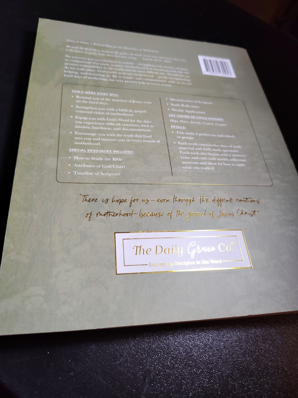 Grace in Chaos The Daily Grace Co. 2017 Biblical Hope Motherhood Study Guide EXC