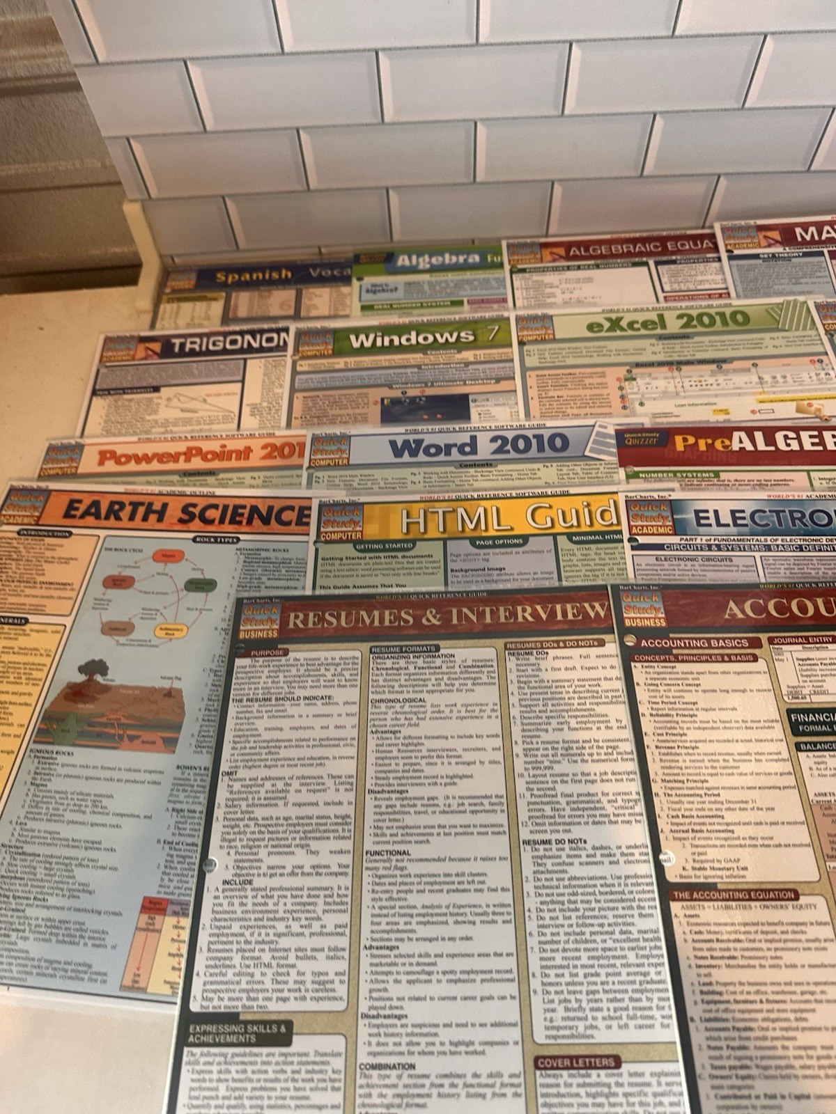 Lot of 18 Laminated Study Guides QuickStudy & SparkCharts