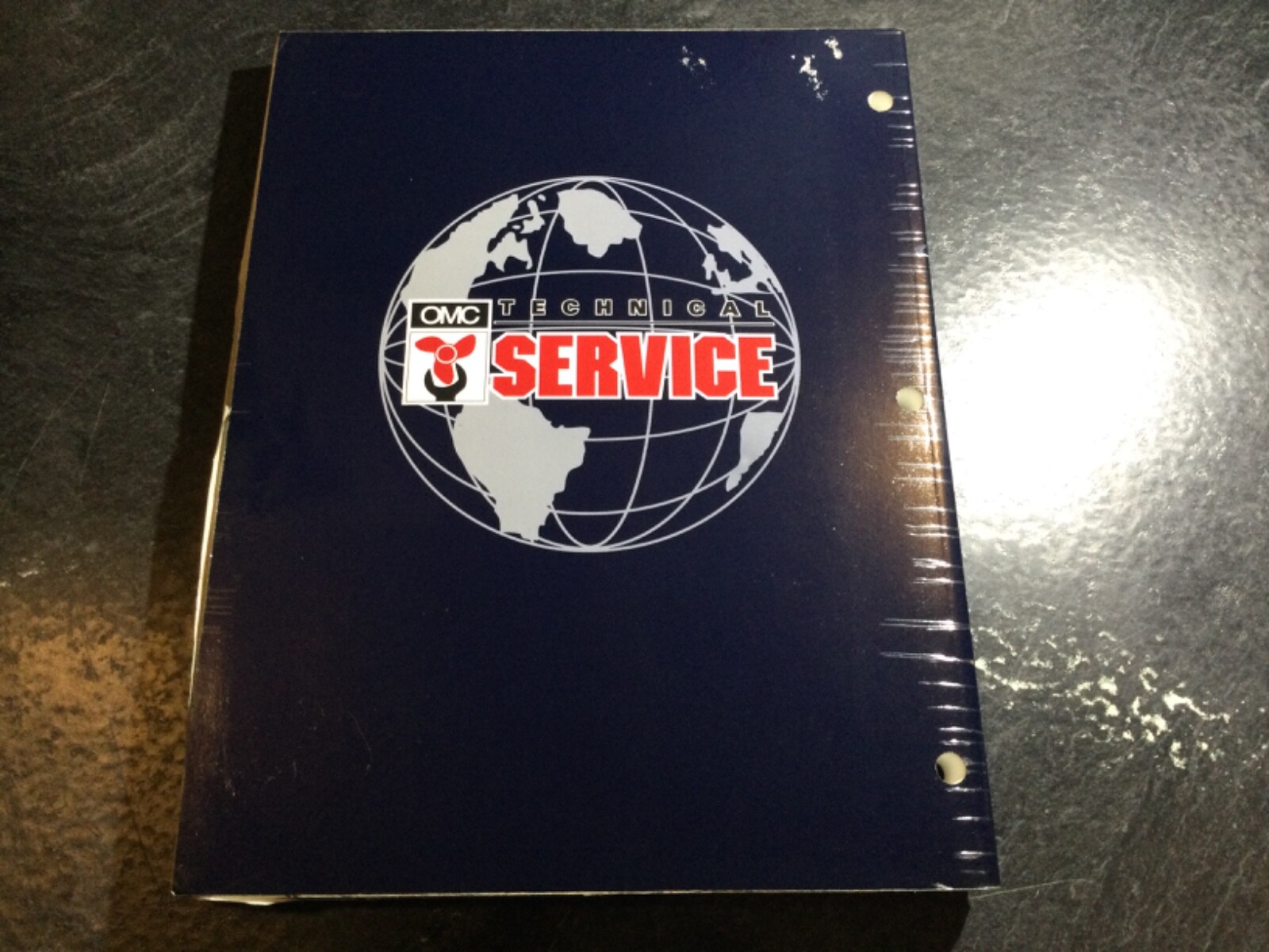 1999 Evinrude EE 90, 115, 150, 175 HP FFI V4 & V6 Outboard Service Manual 787024