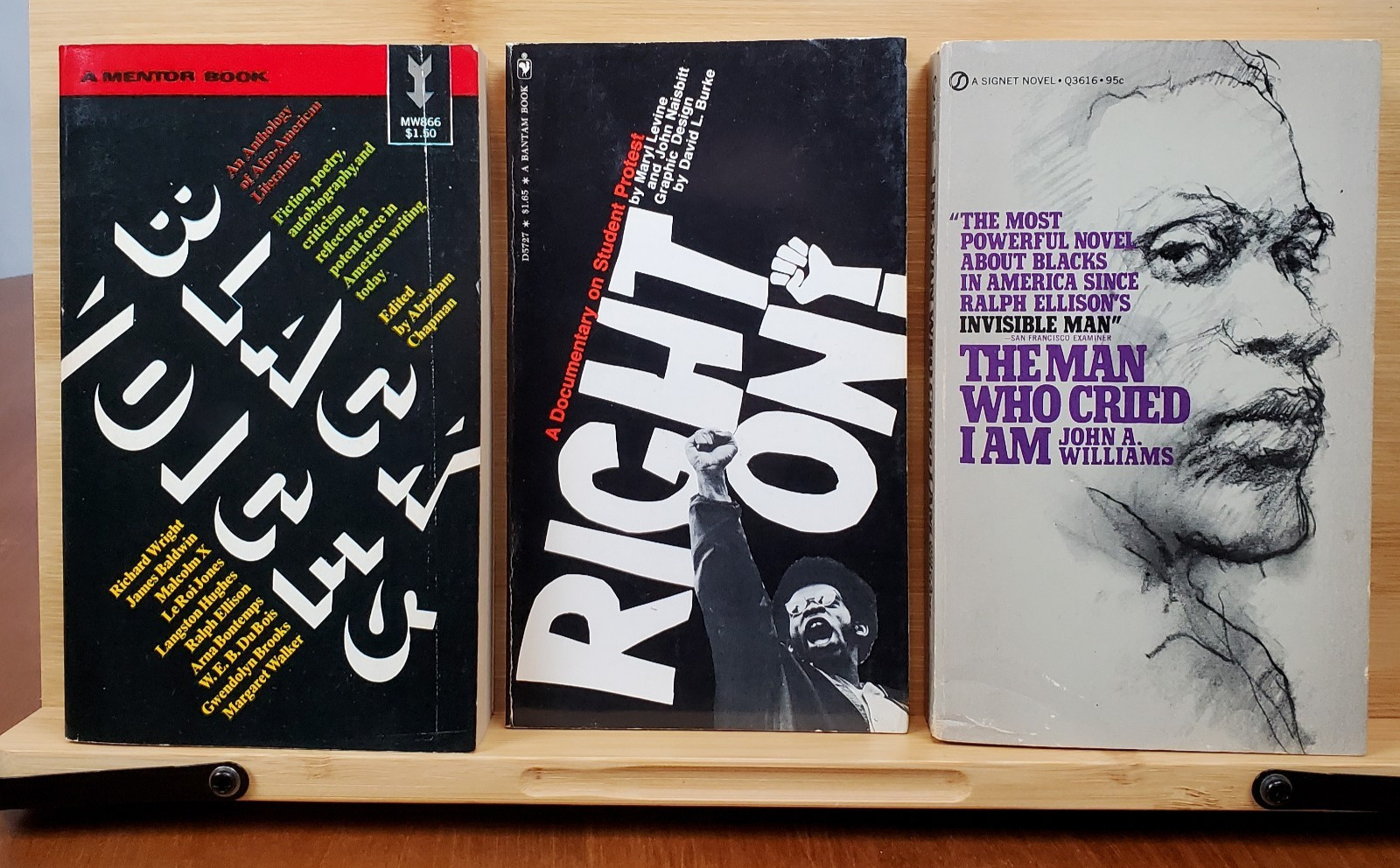 Vintage 1960s Civil Rights Book Lot of 20 1968 Chicago Vietnam Watergate 1970s