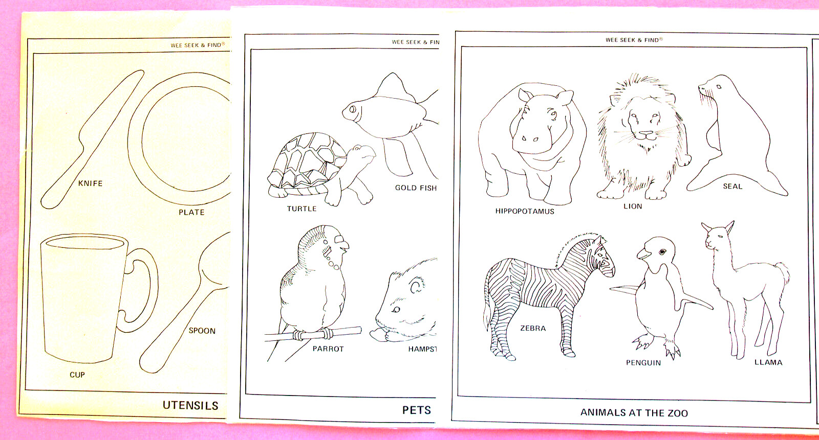 WORD SEARCH KIDS—24 WIPE-OFF LARGE—17 x 11 IN.—ANIMALS, FOOD, TOYS—LAMINATED