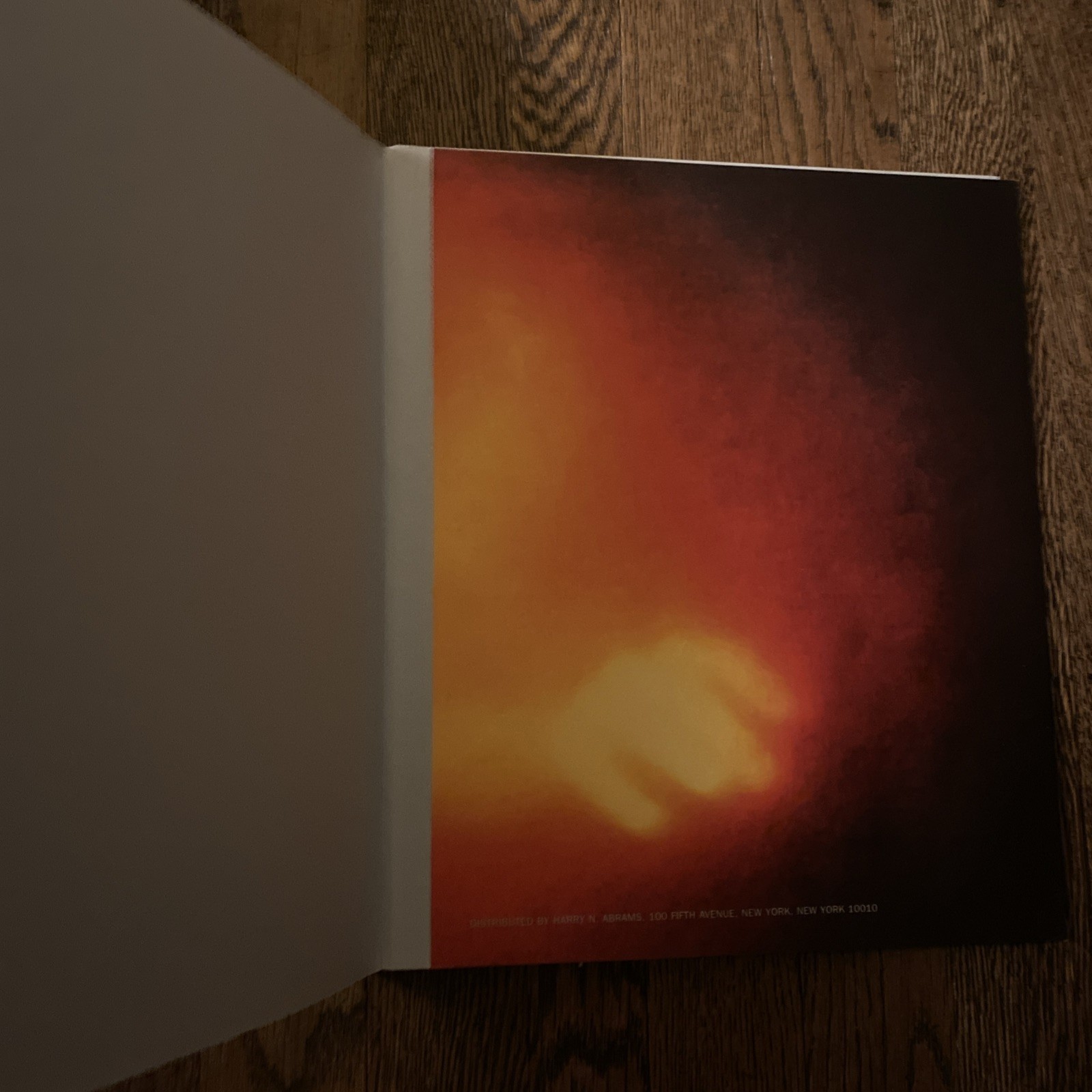 Bill Viola, Going Forth By Day, Guggenheim, Art Exhibition Catalog, 2002, HC/DJ
