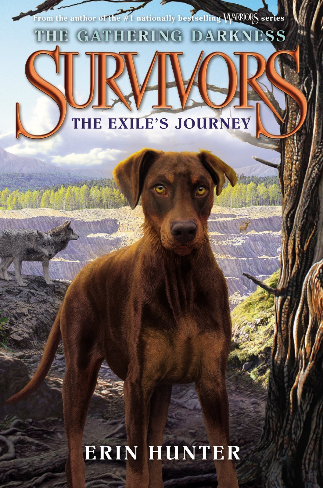 Survivors: The Gathering Darkness #5: The Exile’s Journey