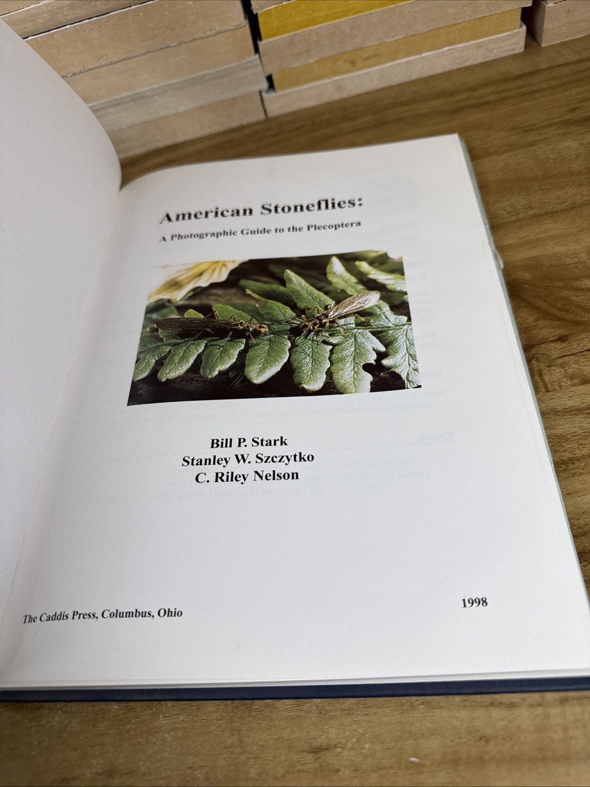 American stoneflies: A photographic guide to the Plecoptera by Bill P. Stark
